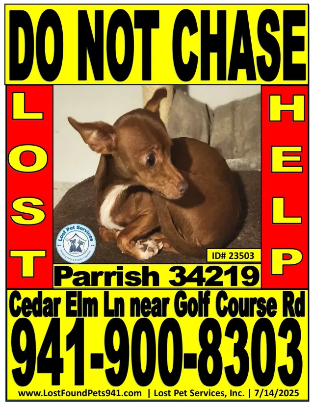 Zoey - Golf Course Rd, Parrish