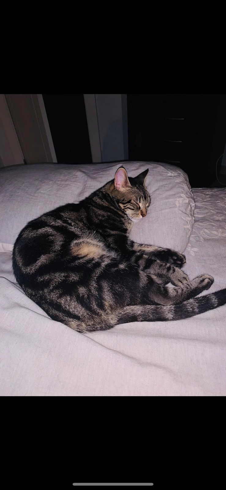 Fiji - Calle Bélgica de Mijas Golf, Mijas