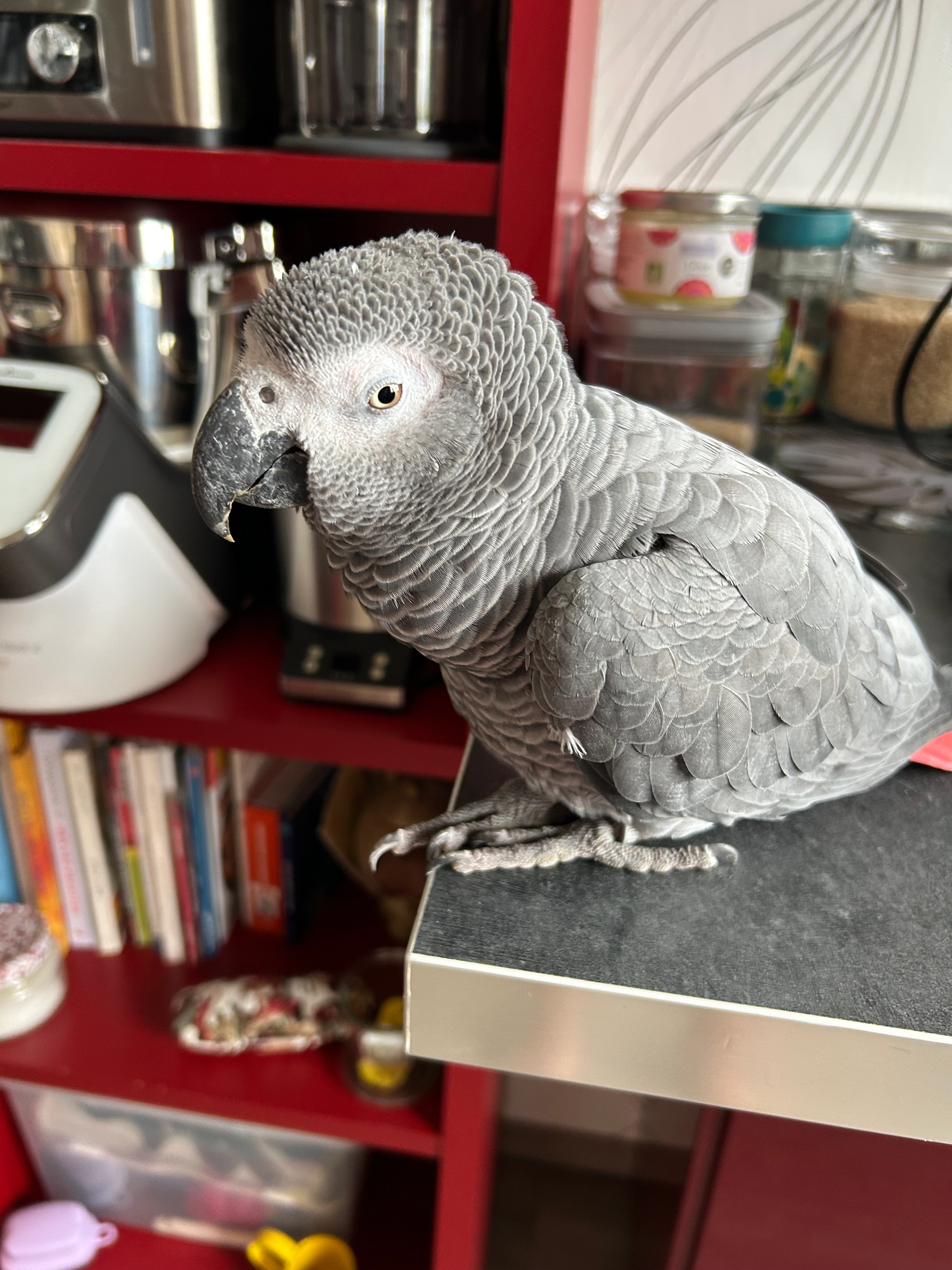 Je l’ai trouvé et j’ai besoin d’ - 1 Rue André-Jean Chamfroy, Chalon-sur-Saône