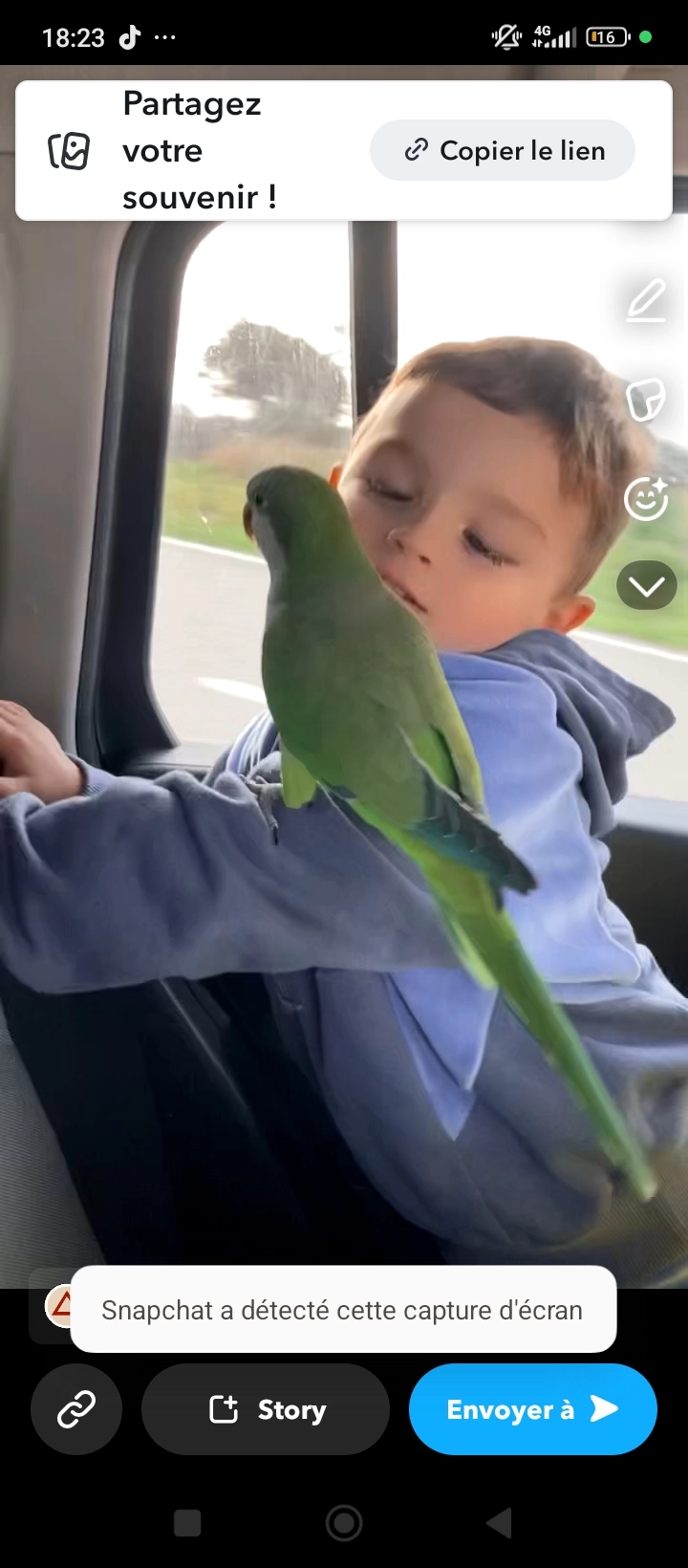 Coco  - Allée Des Garennes, Fos-sur-Mer