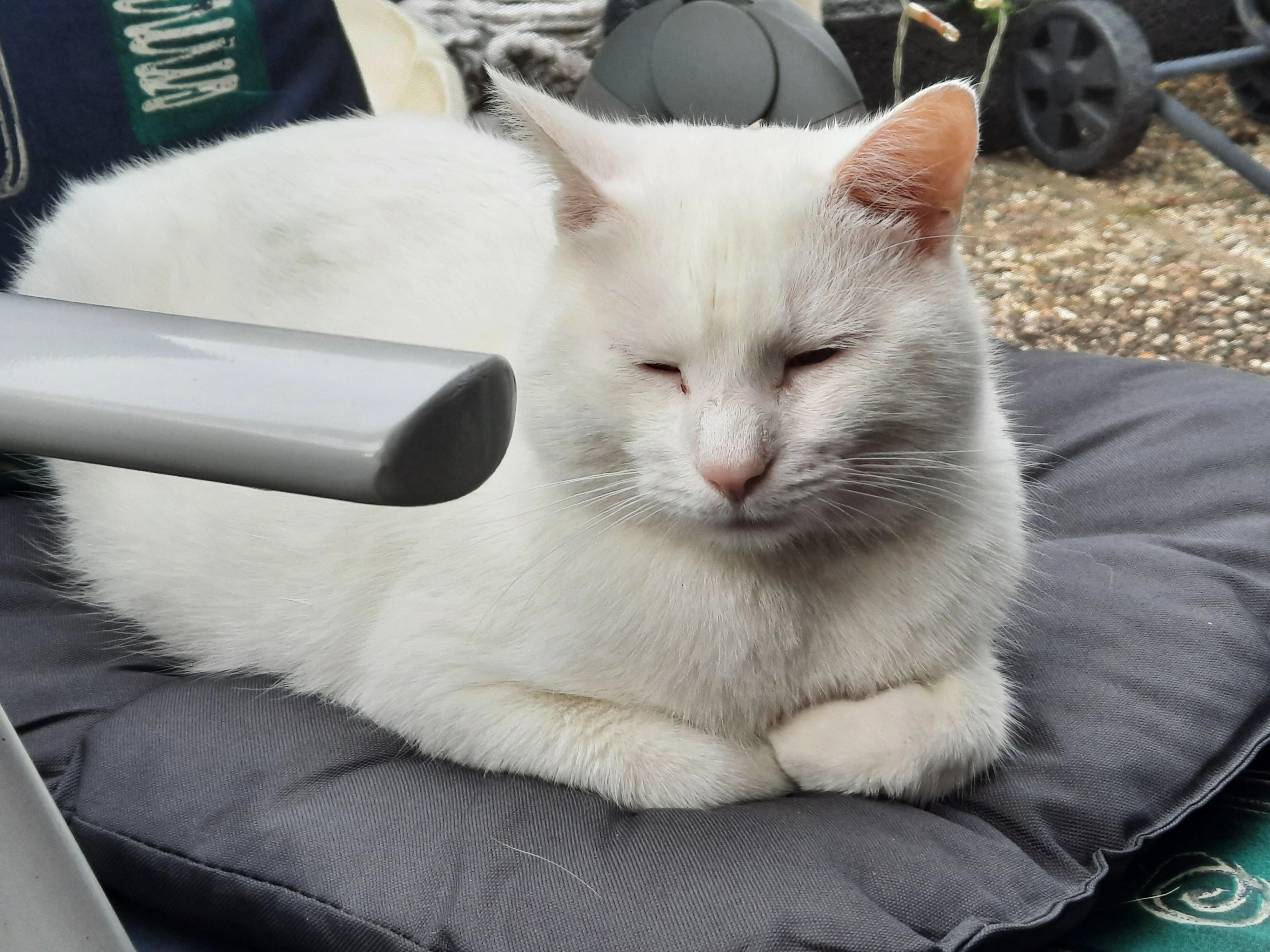 Flöckchen  - Kurt-Schumacher-Straße, Niddatal