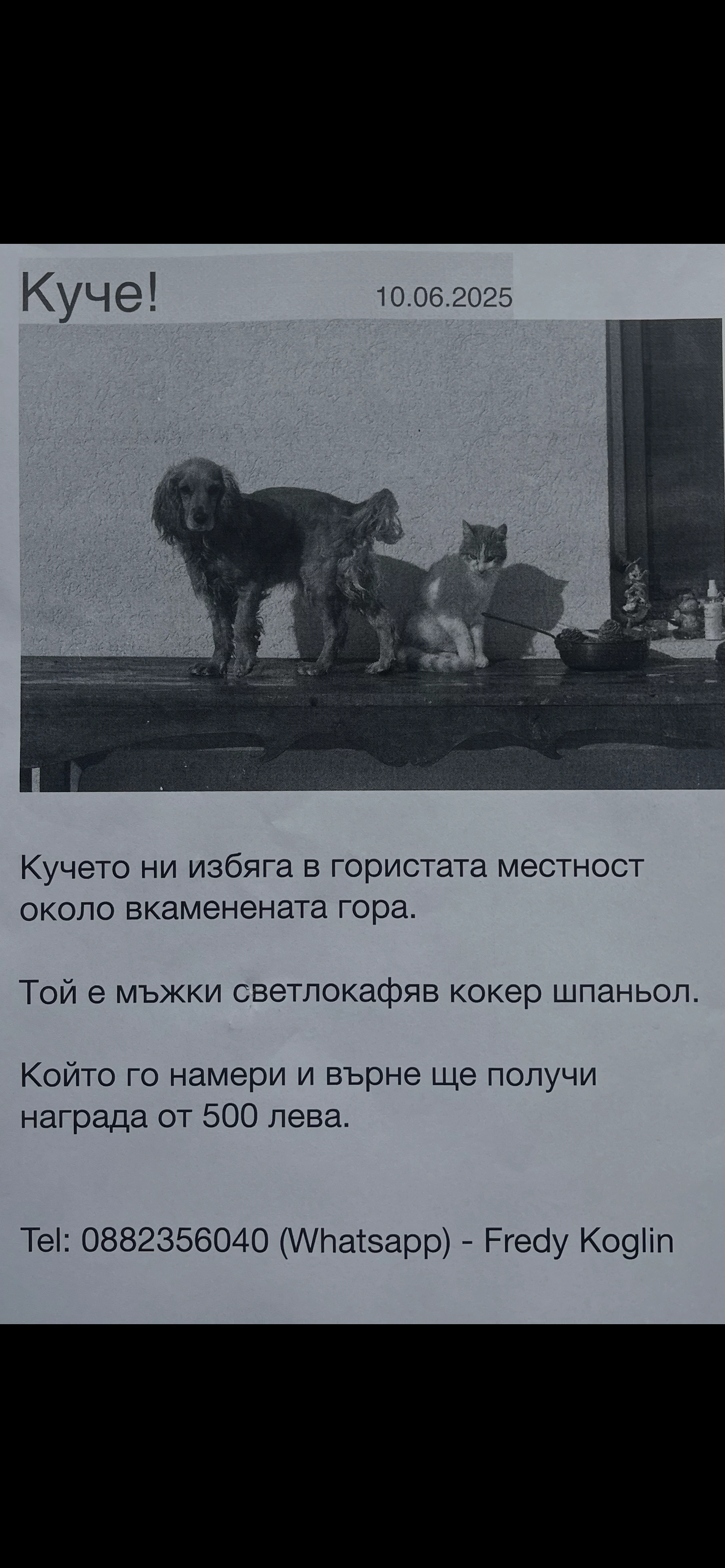 Moritz - Ул. Клокотница, Beloslaw