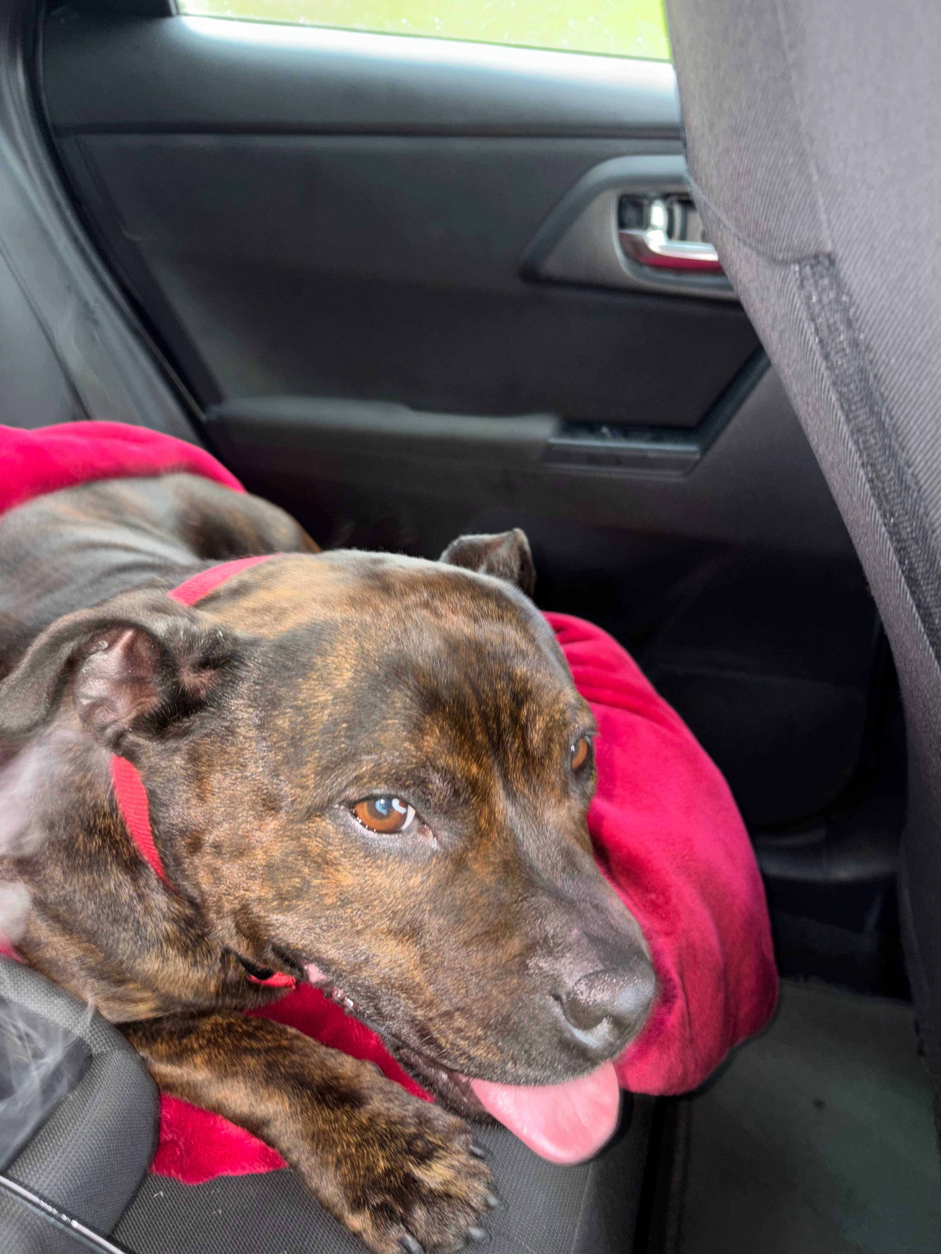 Athéna - Route De Jonzieux, Saint-Just-Malmont