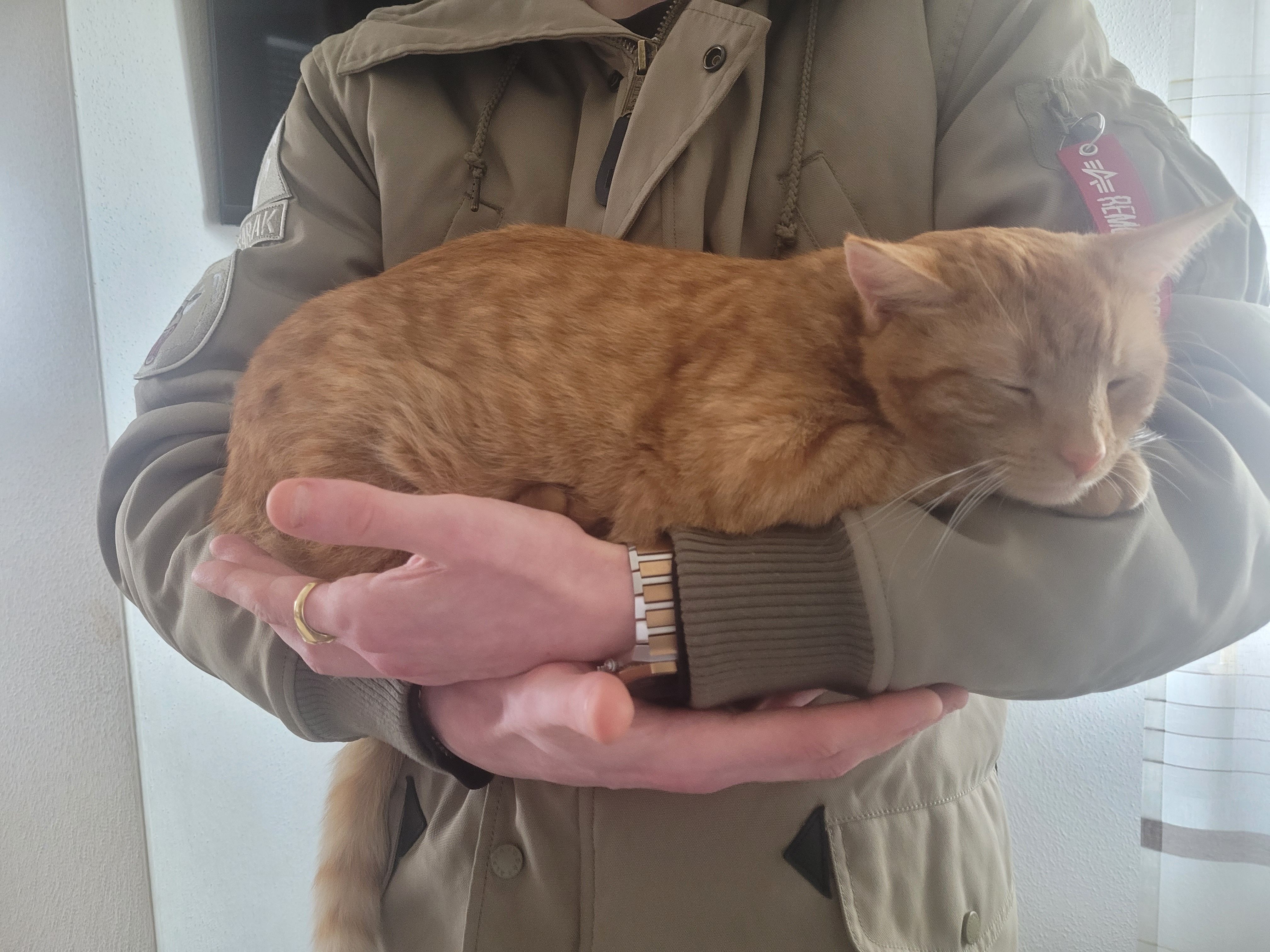 Johnny - 92345, Dietfurt an der Altmühl