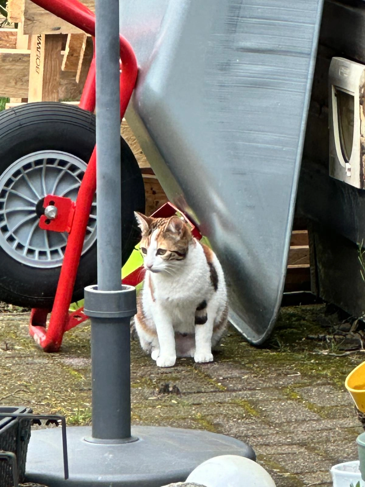 Lexi - Middenstraat, Sappemeer