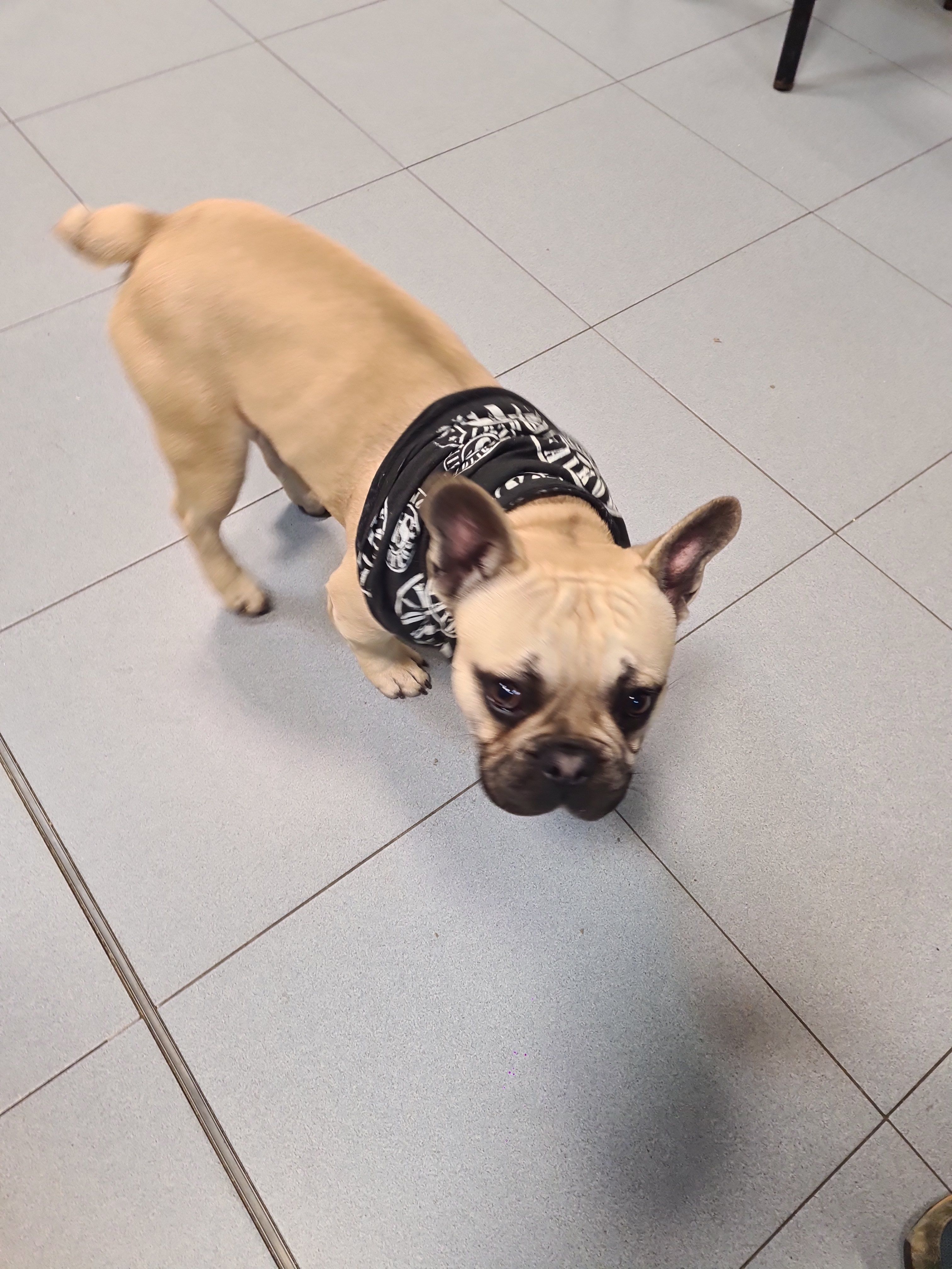 Ronny  - Calle del Arenal, Friera de Valverde