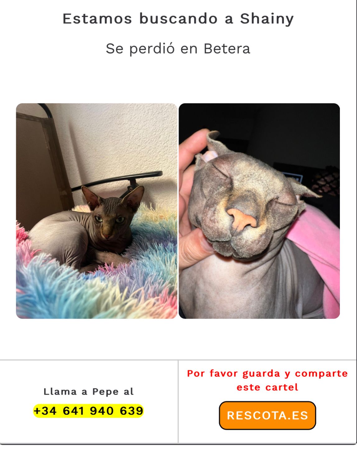 Shayny - Calle de la Virgen de la Merced, Bétera