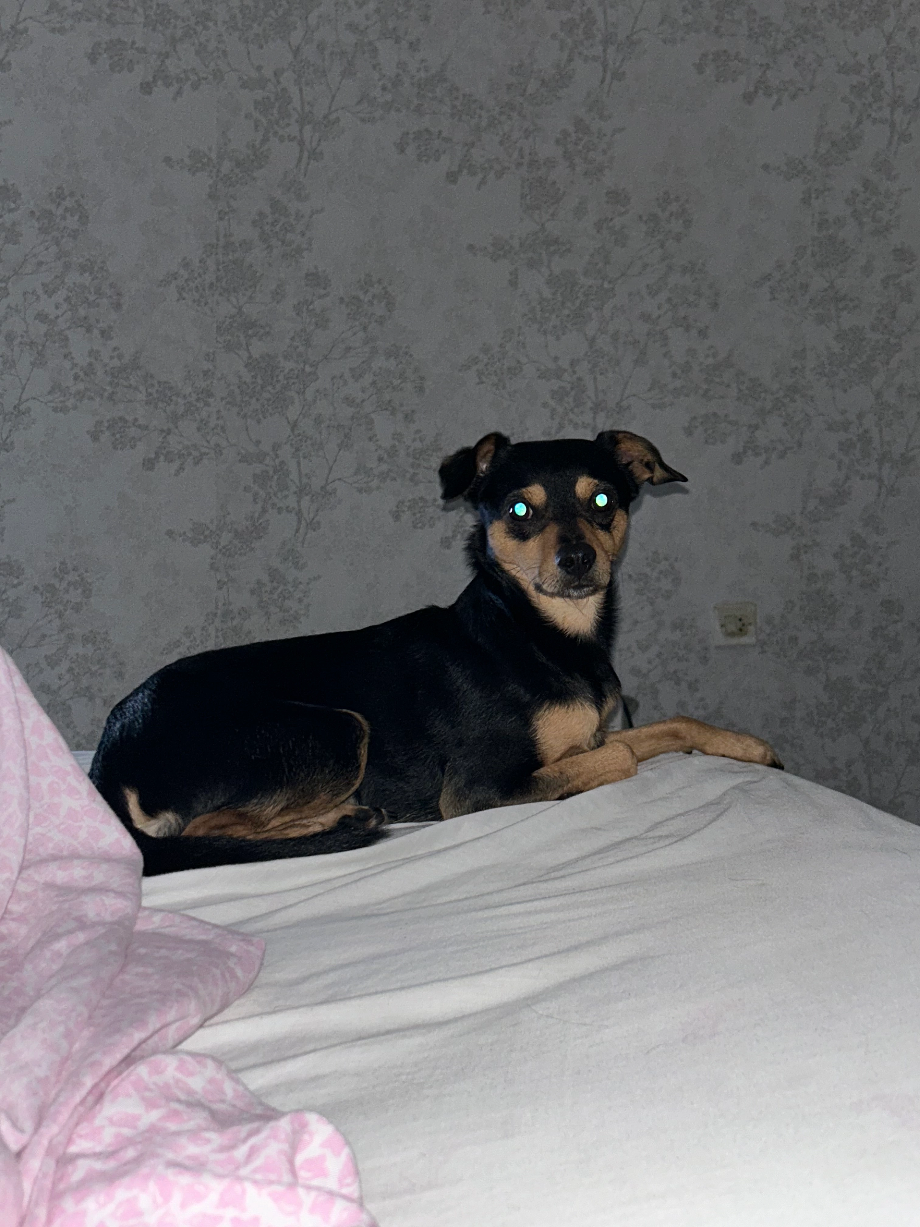 Chatarra - Avenida Arroyo Primero, Marbella