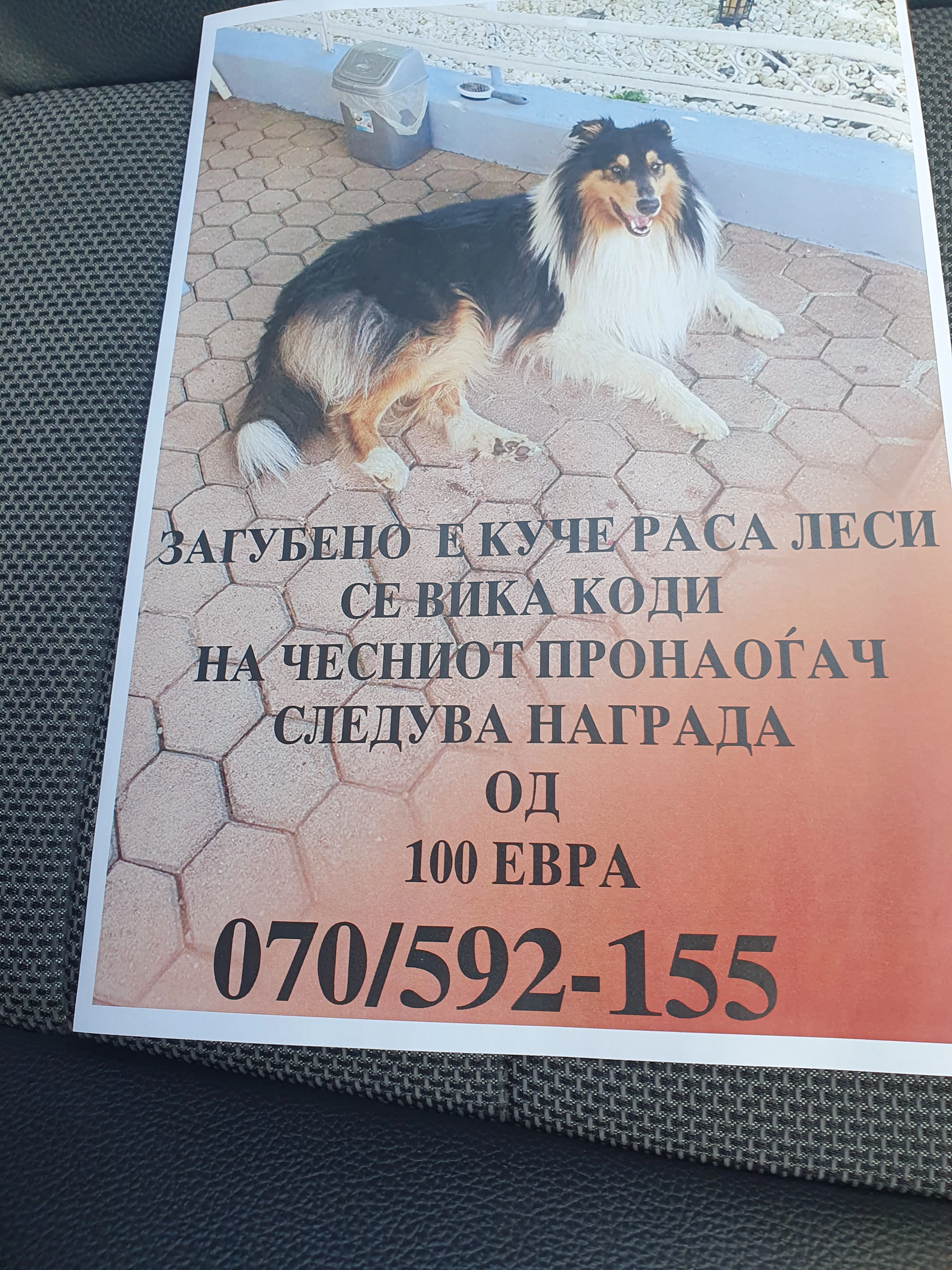 Cody - Бошко Буха, Opština Strumica