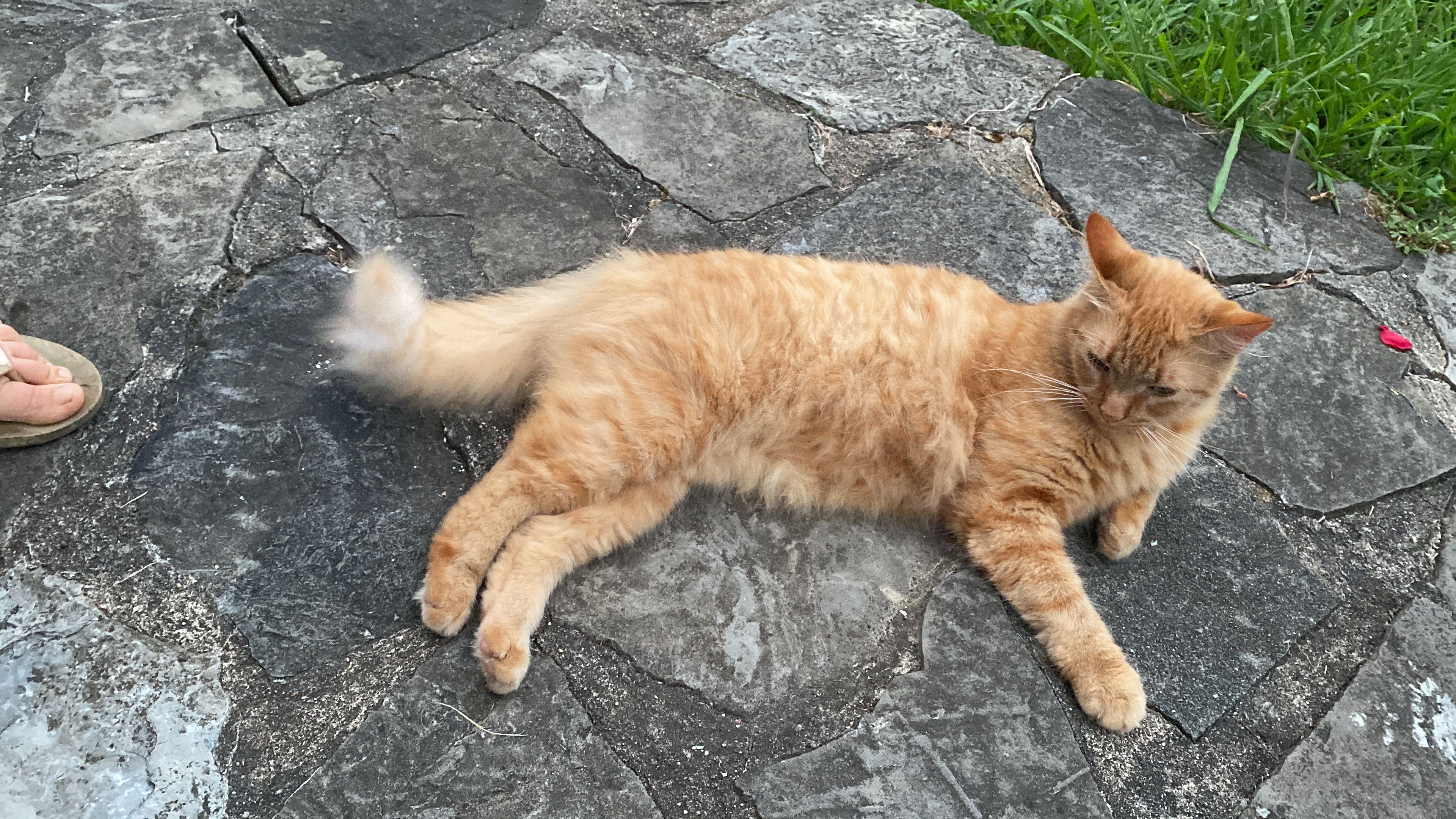 Caramel - 1125 Chemin de Oihanbehère, Urrugne