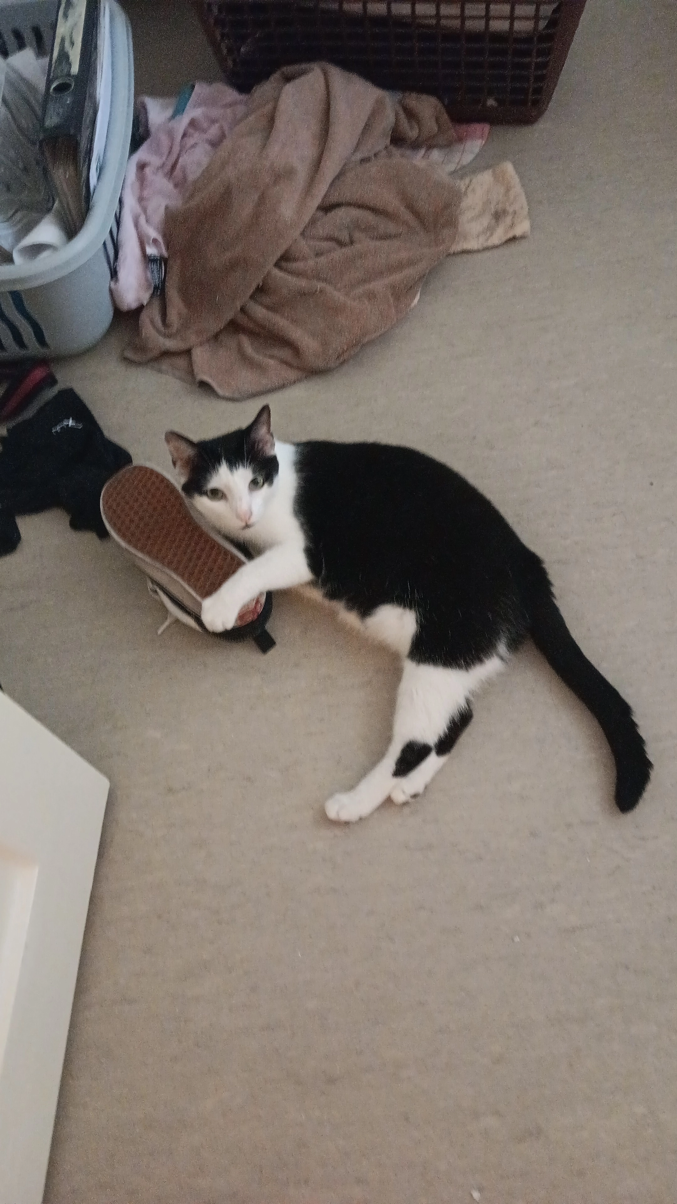 Paili - Johannisstraße, Nürnberg