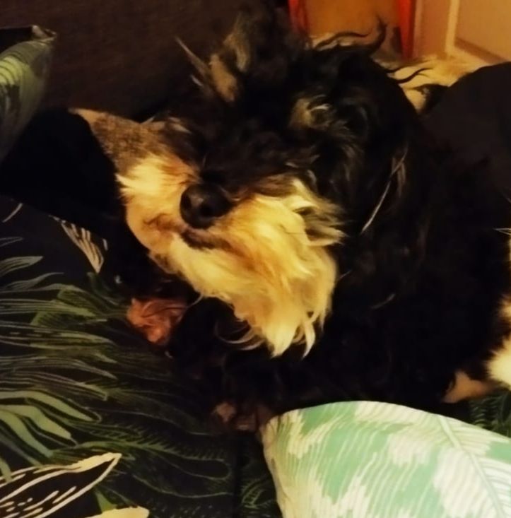 Tumaï - Chemin Du Champ Frelet, Polliat