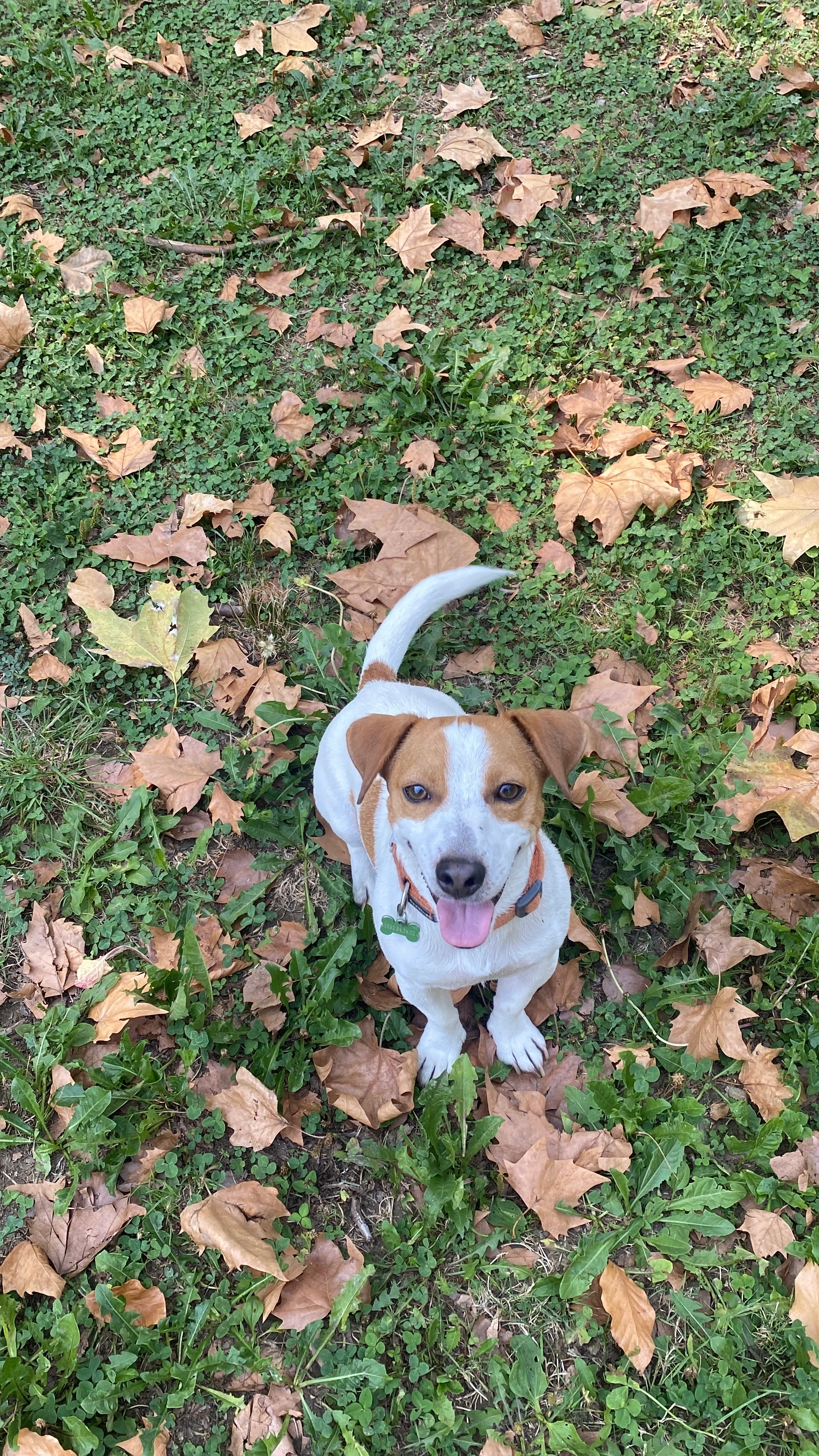 Claude - Route De L'erié, Fully