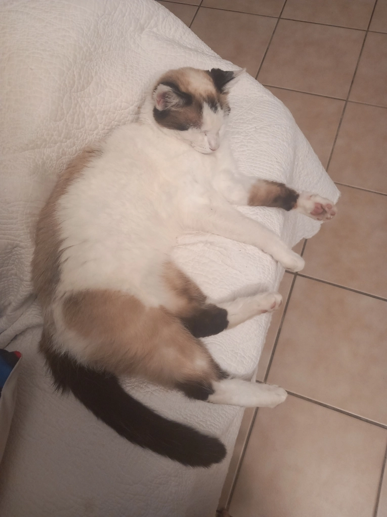 Kaline  - 6 Rue des Lapidaires, Belleydoux