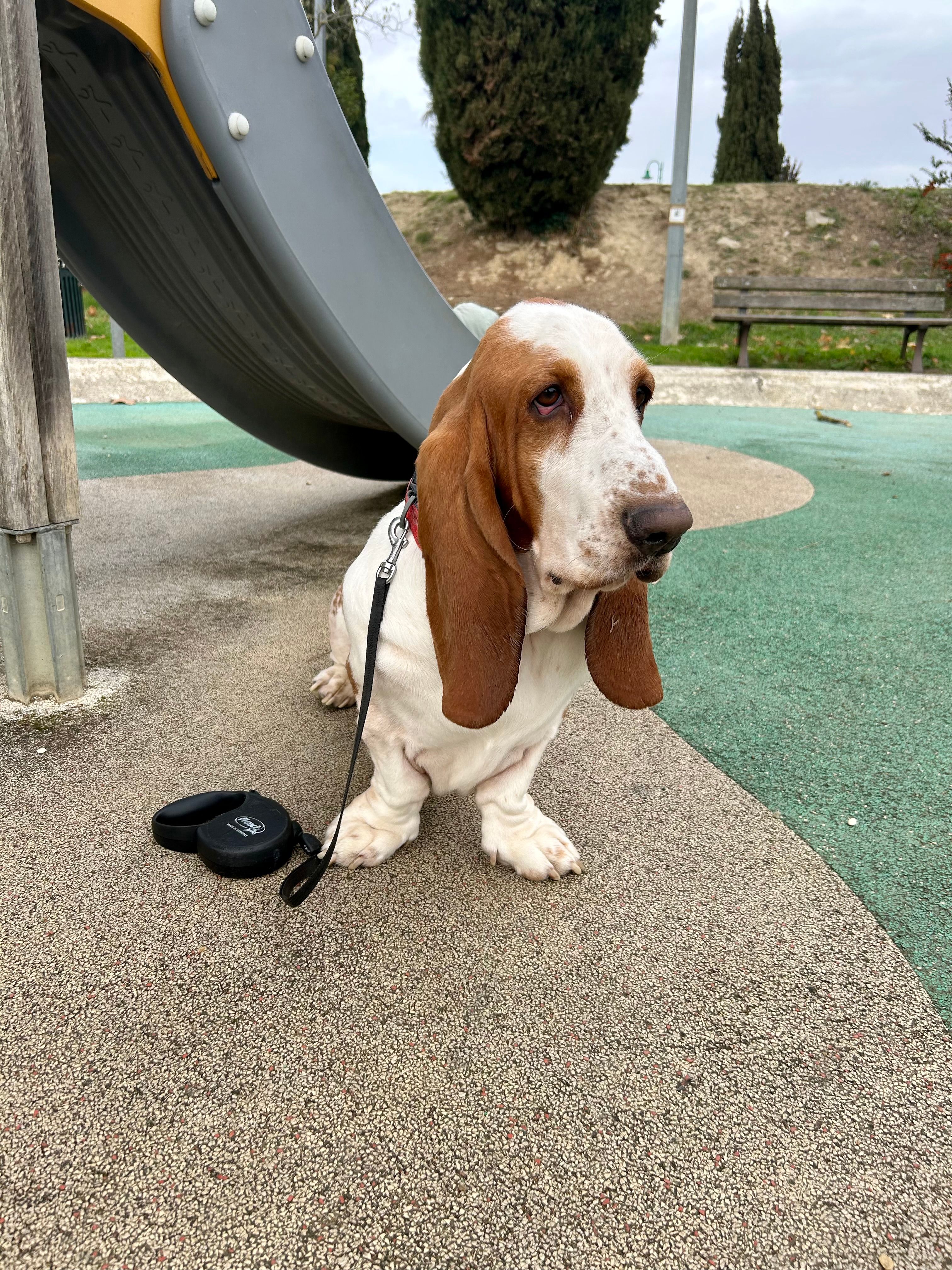 Gerald - 11620, Villemoustaussou