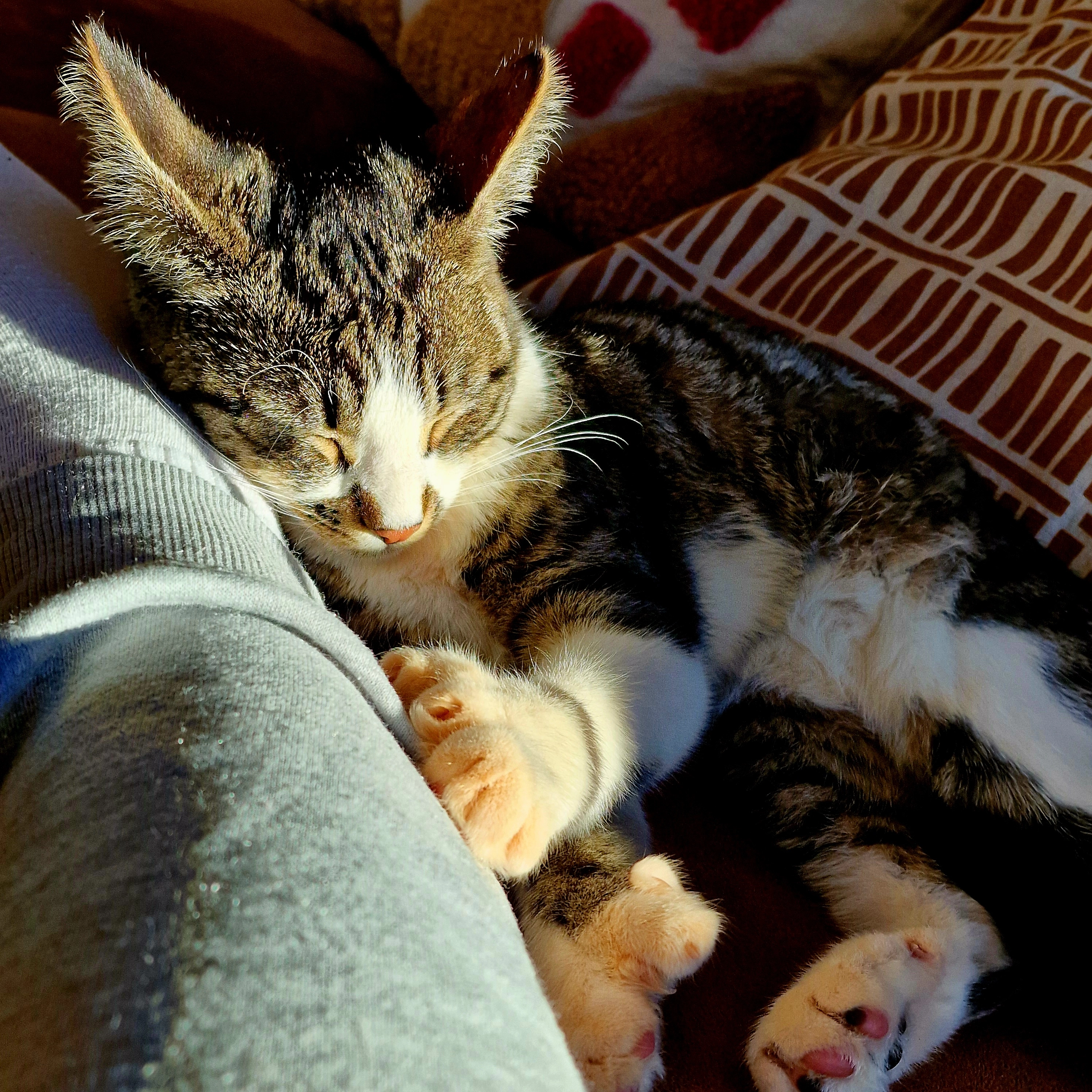 Betty - Østre Ringvej 3, Hejnsvig