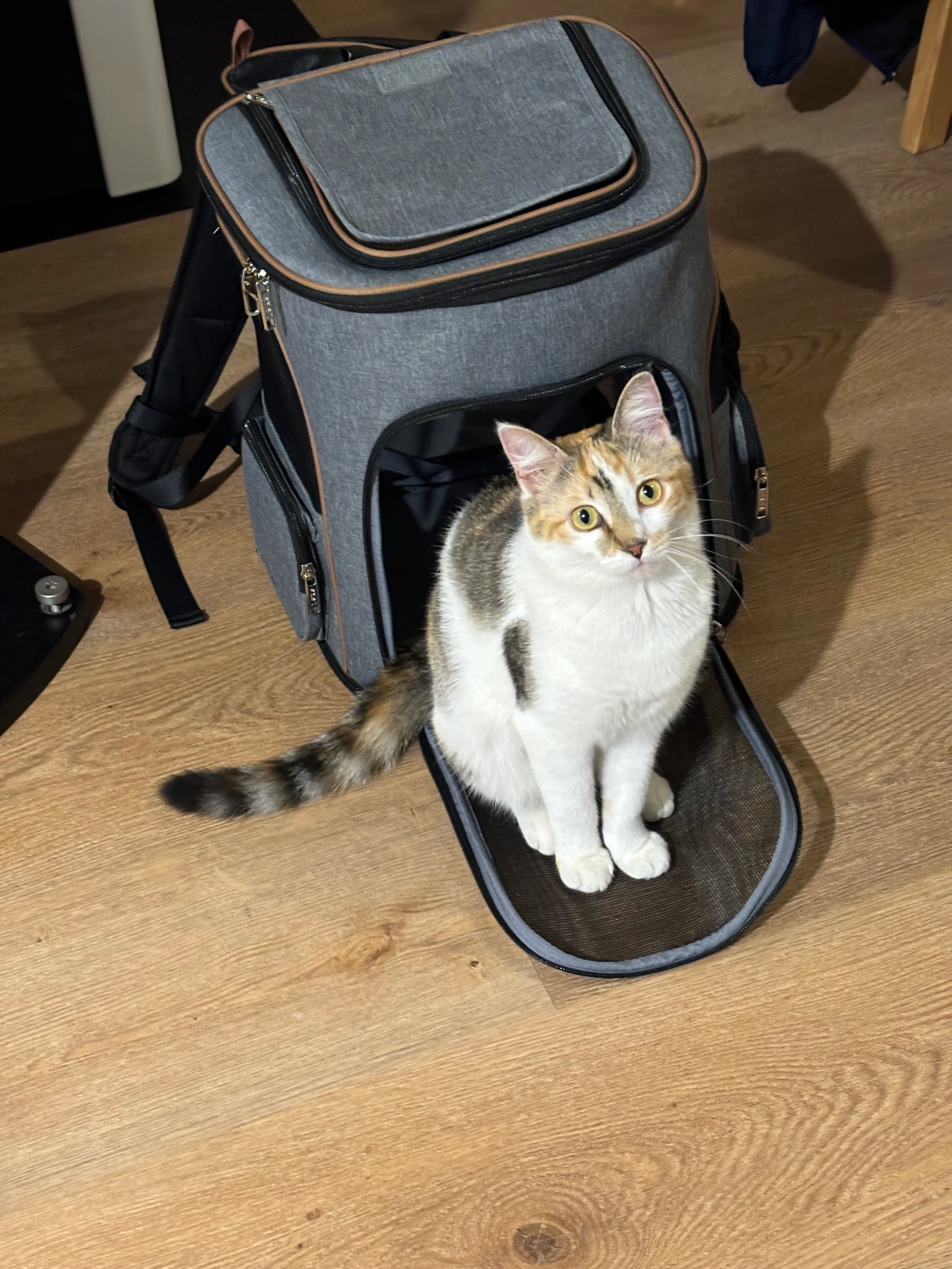 Étoile  - 15 Rue des Motelles, Saint-Aubin-sur-Gaillon