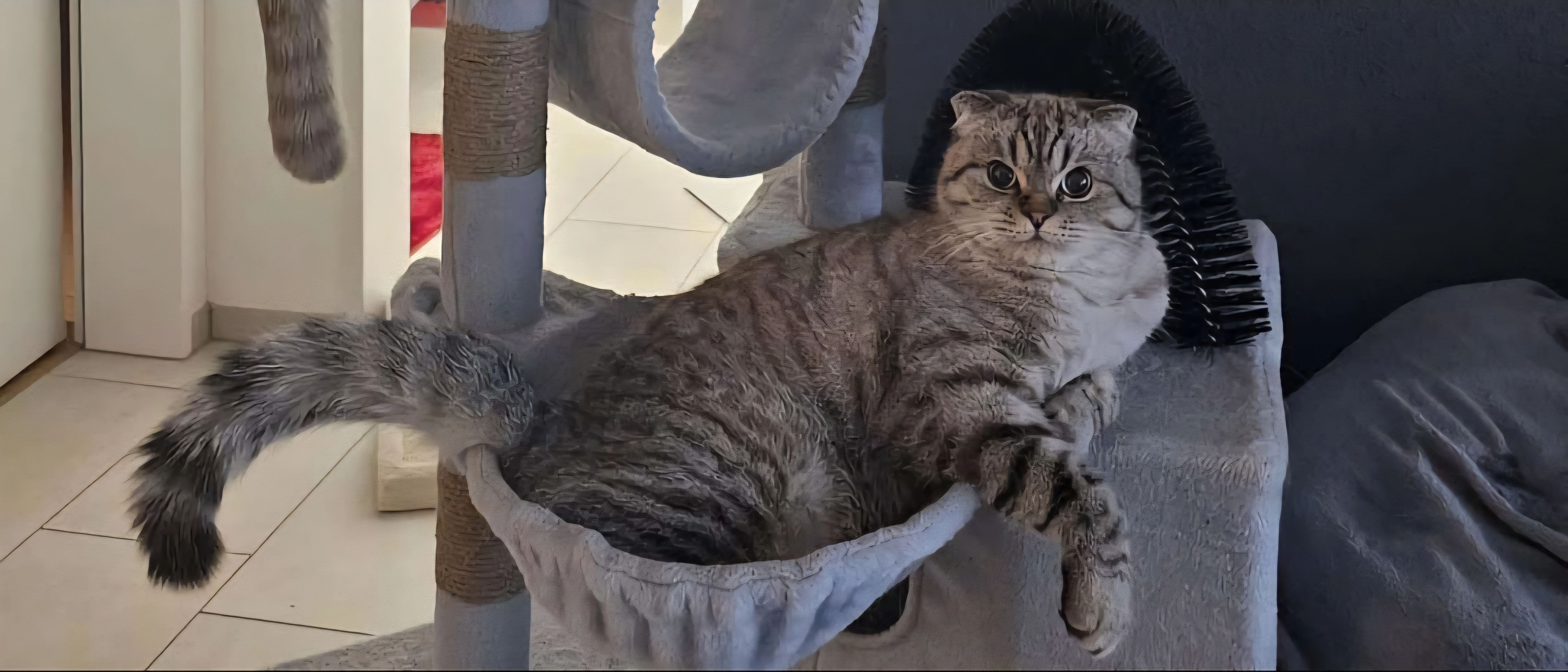 DJ - 5312, Döttingen