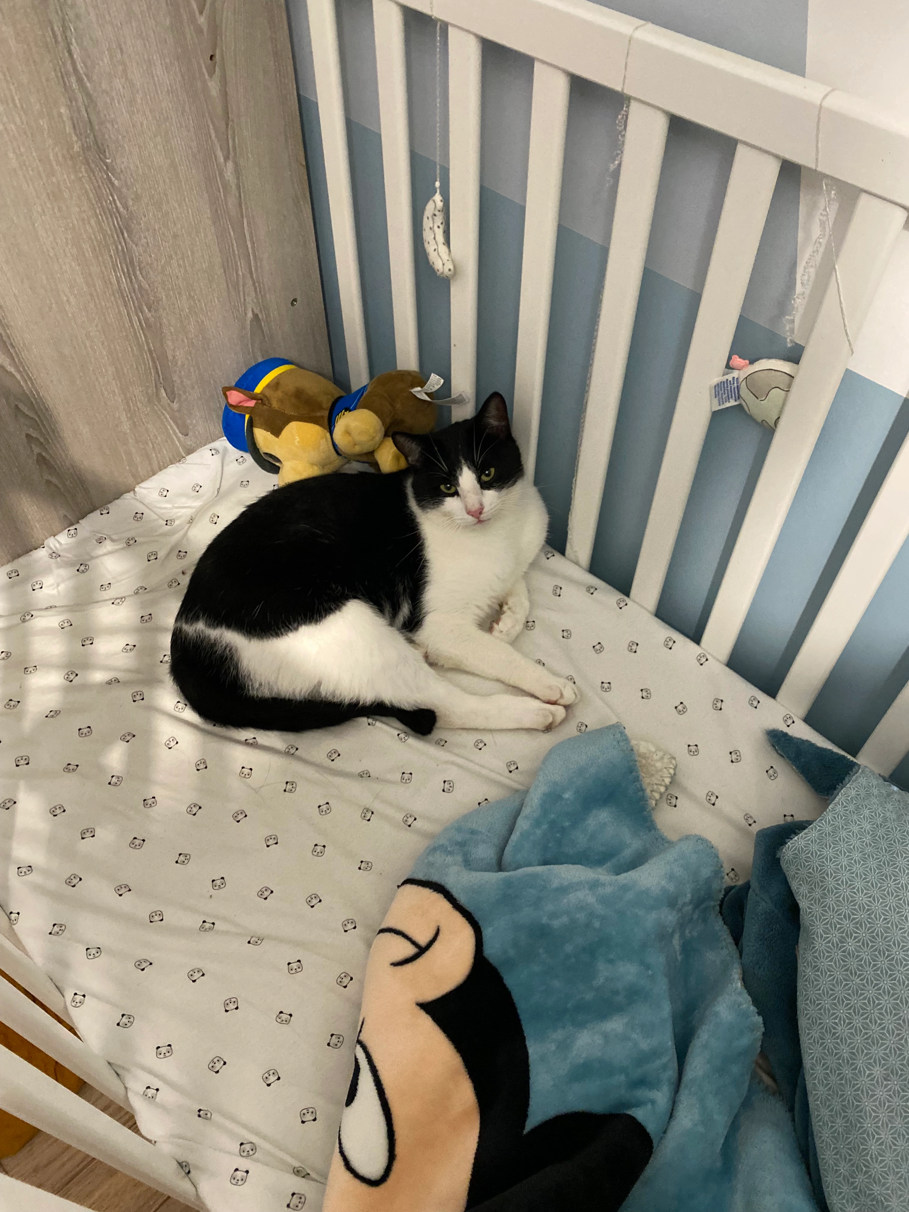 Atlas - 2A Chemin de Saintes, Noé