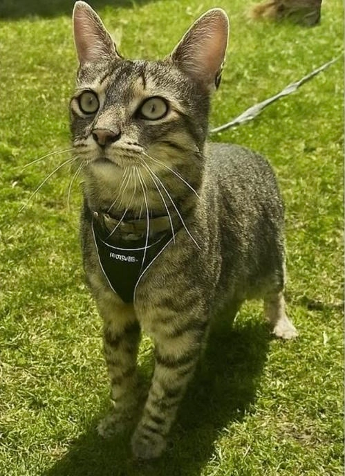 totem - Chemin De Champ-Paris, Cossonay