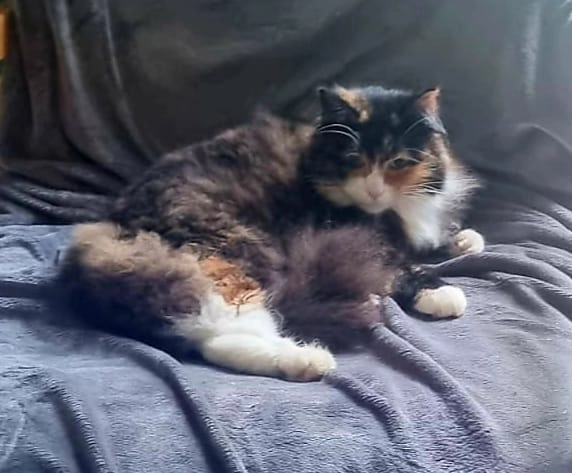 Eve - London Road, Edinburgh