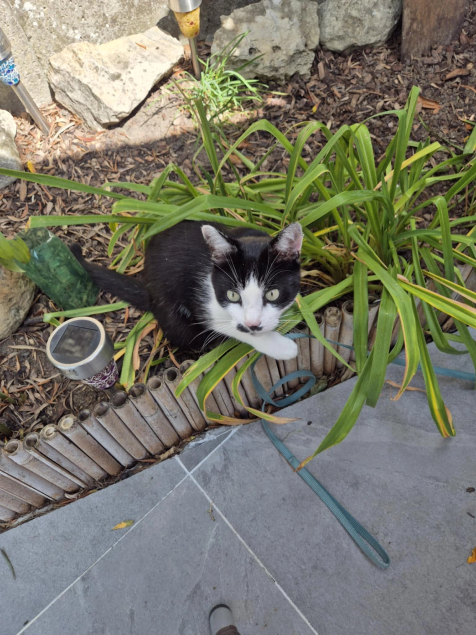 Creasy - Rue Potaarde, Berchem-Sainte-Agathe