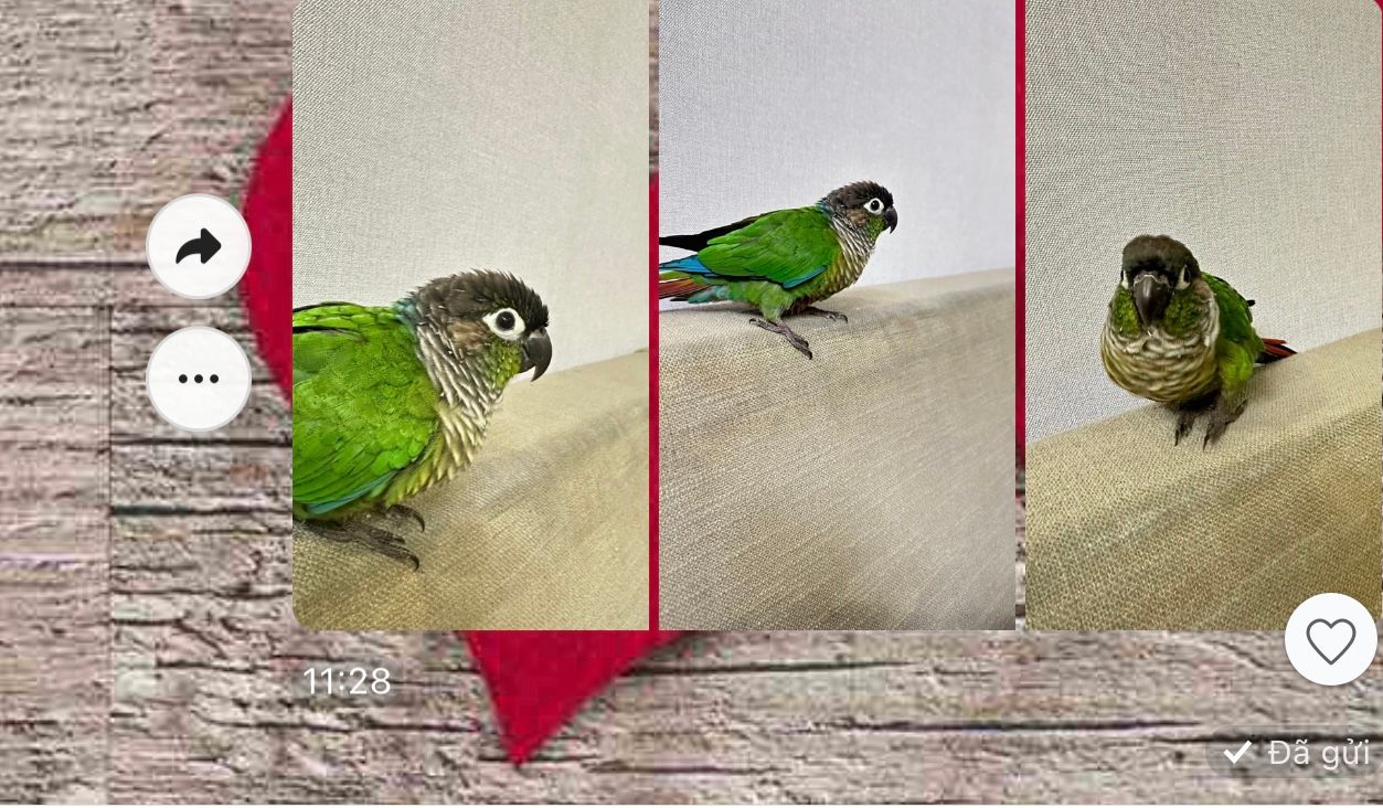 Green - Phu Thanh, Ho Chi Minh City