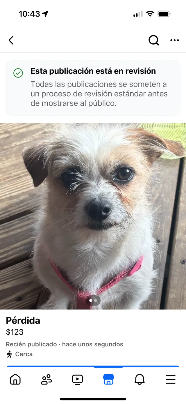 Coco - 3305 3rd St E, Bradenton