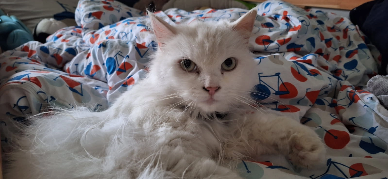 Snow - Lotissement Beauséjour, Libourne