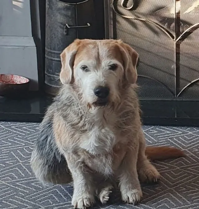 Margo - Crown Street, Peterborough
