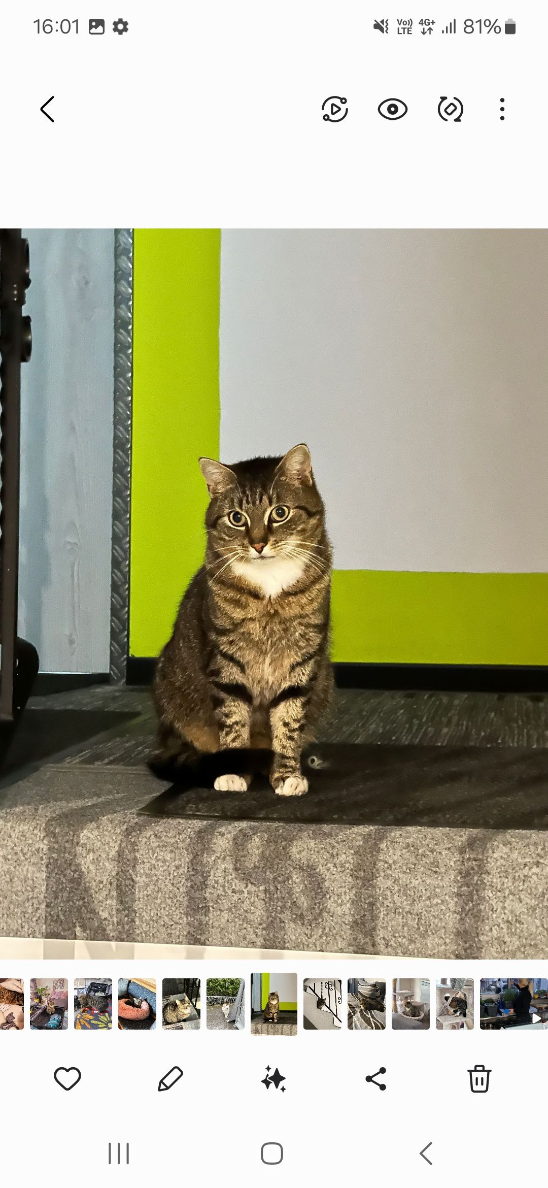 Balu - Kierwang, Bolsterlang