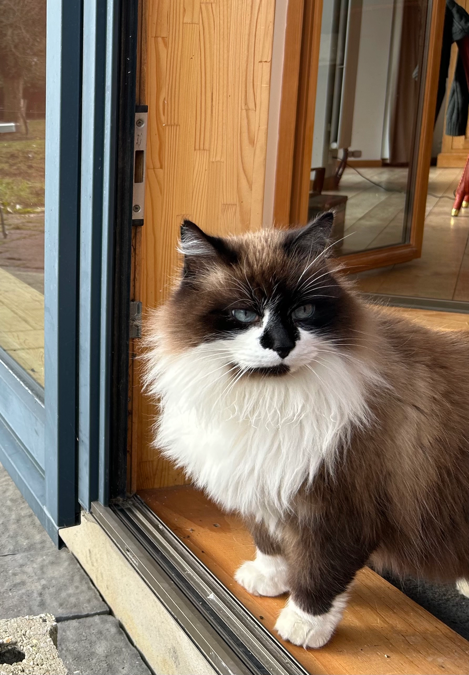 Lulu - 76690, Esteville