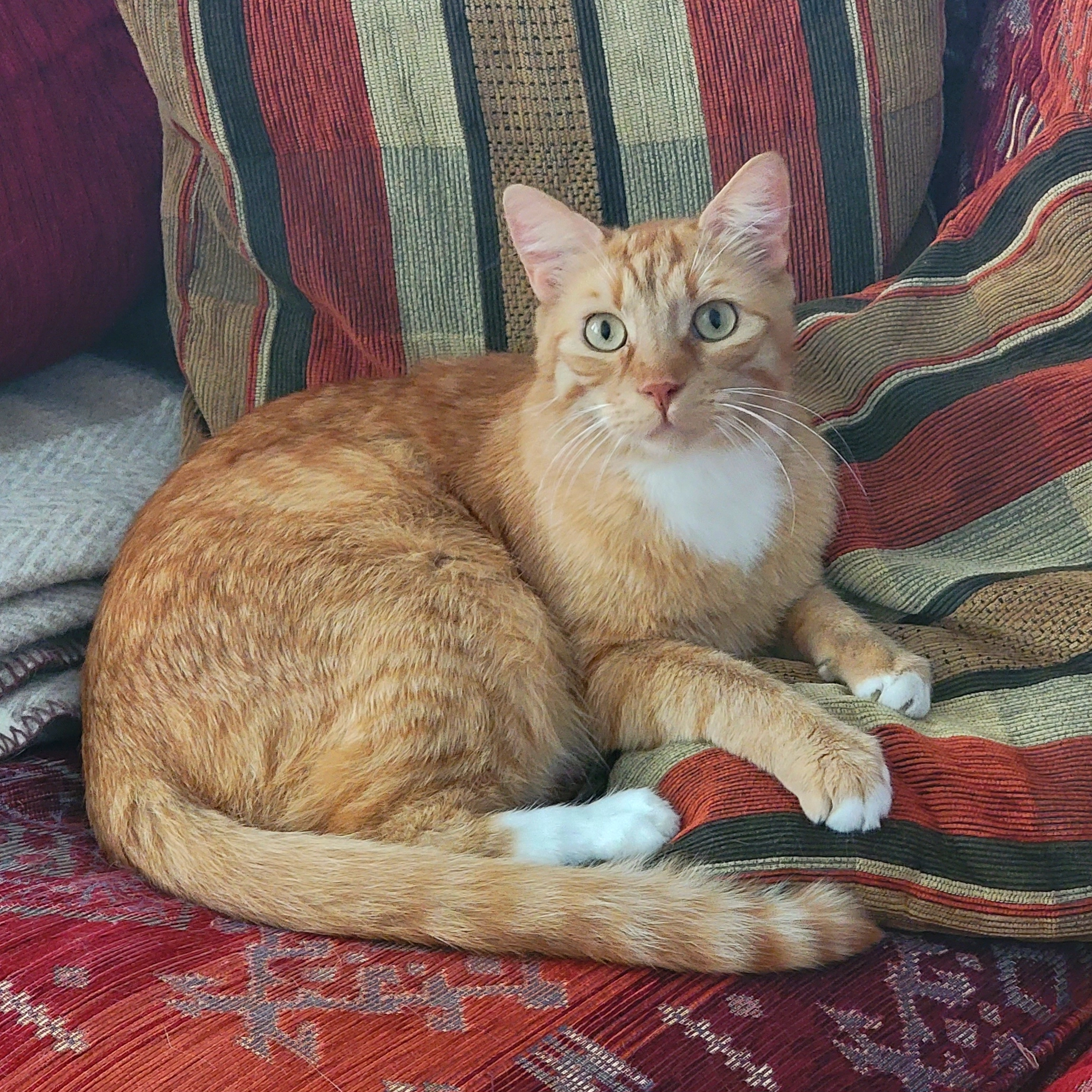 Schröder - Hintere Gerbergasse, Memmingen