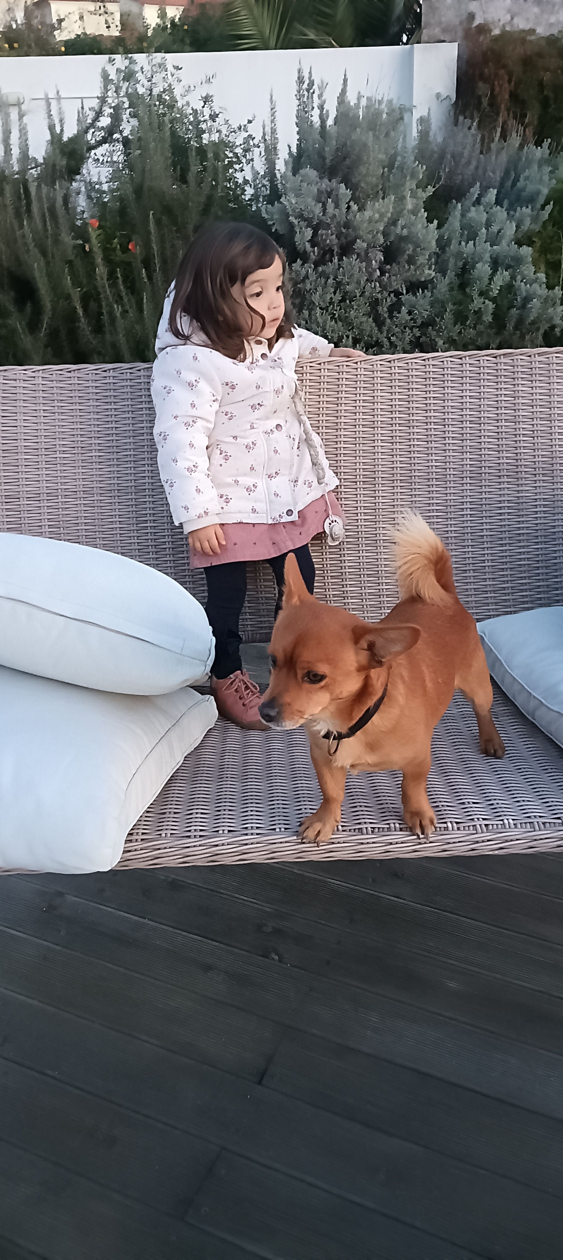 Cometa  - Travessa da Amendoeira 27, Achada