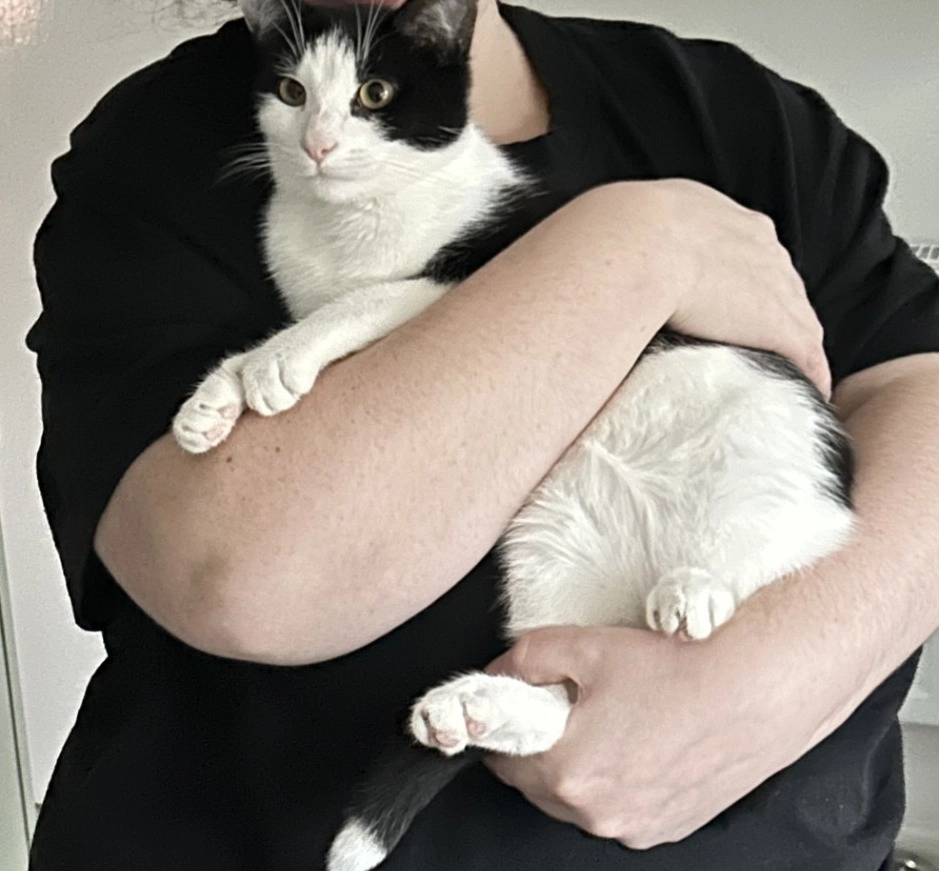 Frankie - Green Marsh, Exeter