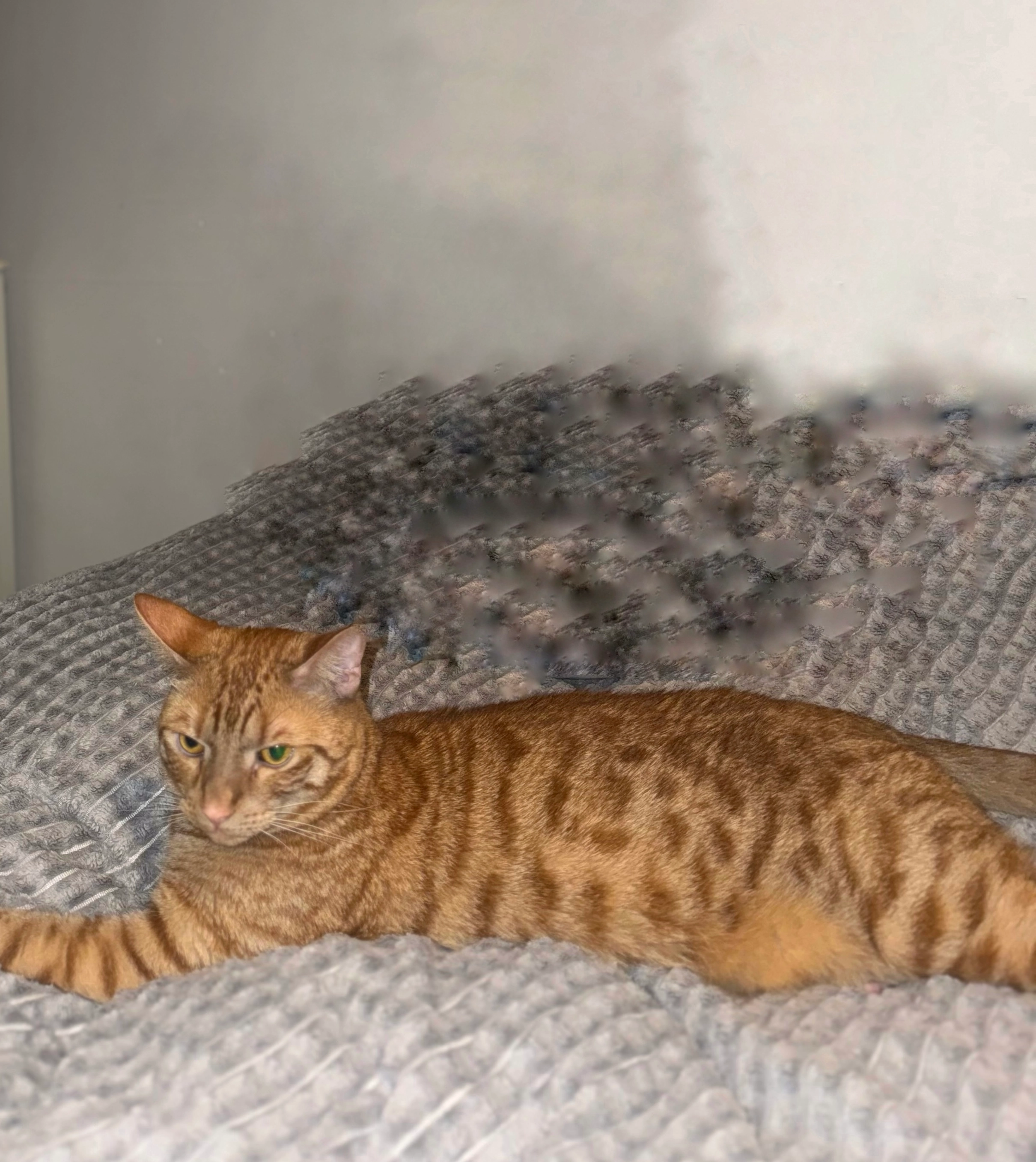 Rio - Chapel Lane, Corby