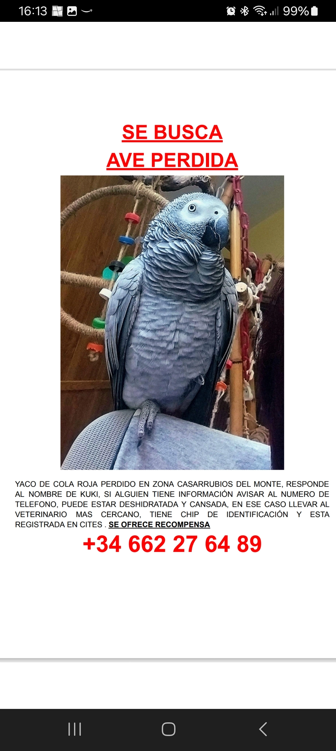 Kuki - Calle de las Quintanas, Casarrubios del Monte