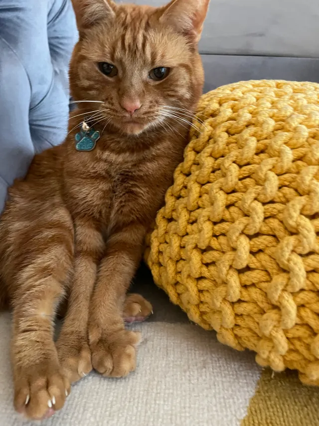 Ginge - DY8 4, Stourbridge