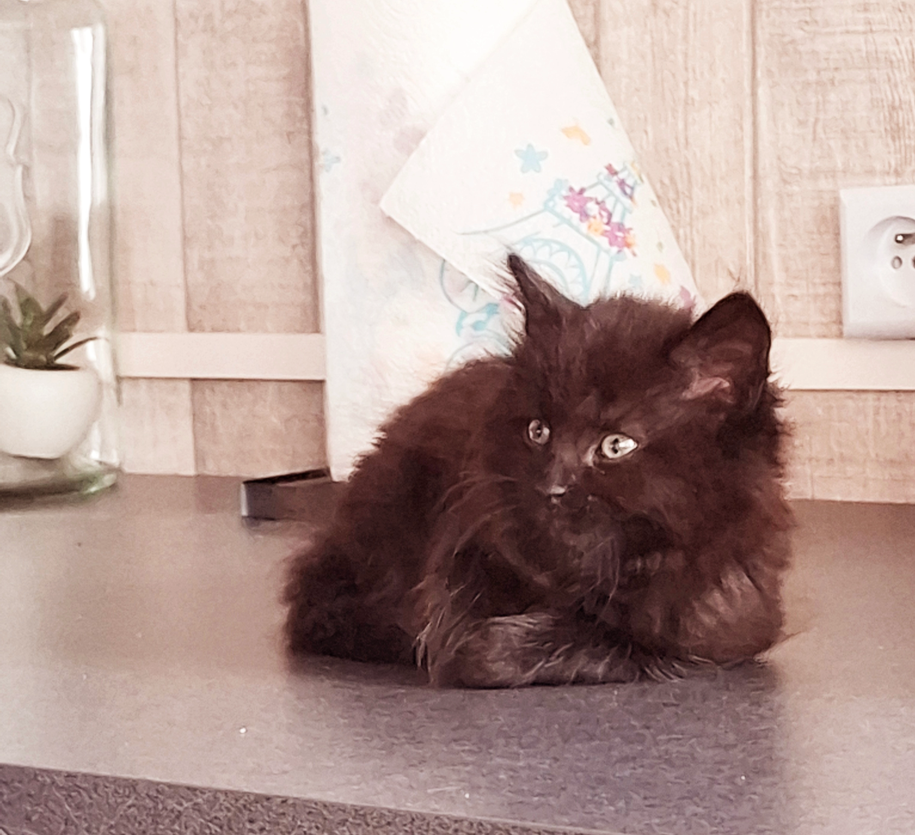 Louna - Rue Pierre De Coubertin, Jeumont