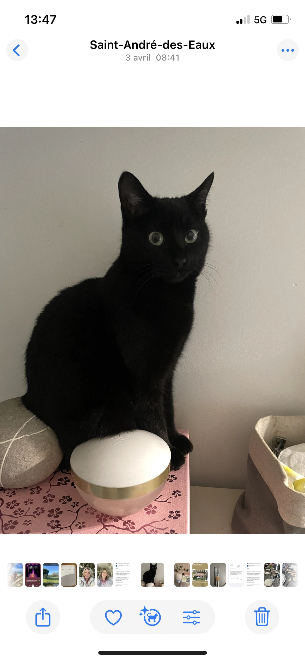 Miminette  - 10 Route de la Ville au Jau, Saint-André-des-Eaux