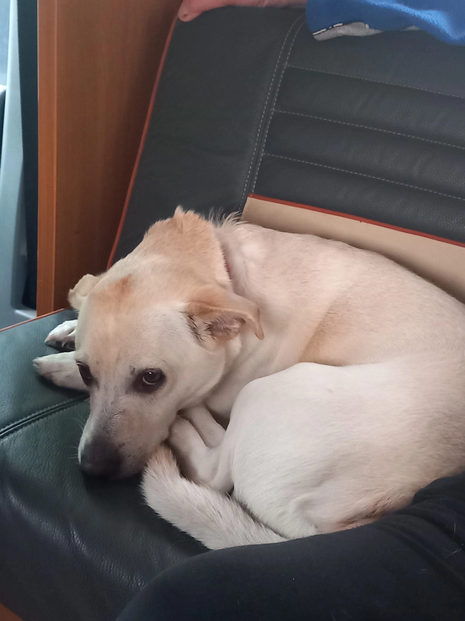 Knuth - Ziegelei, Wettin-Löbejün