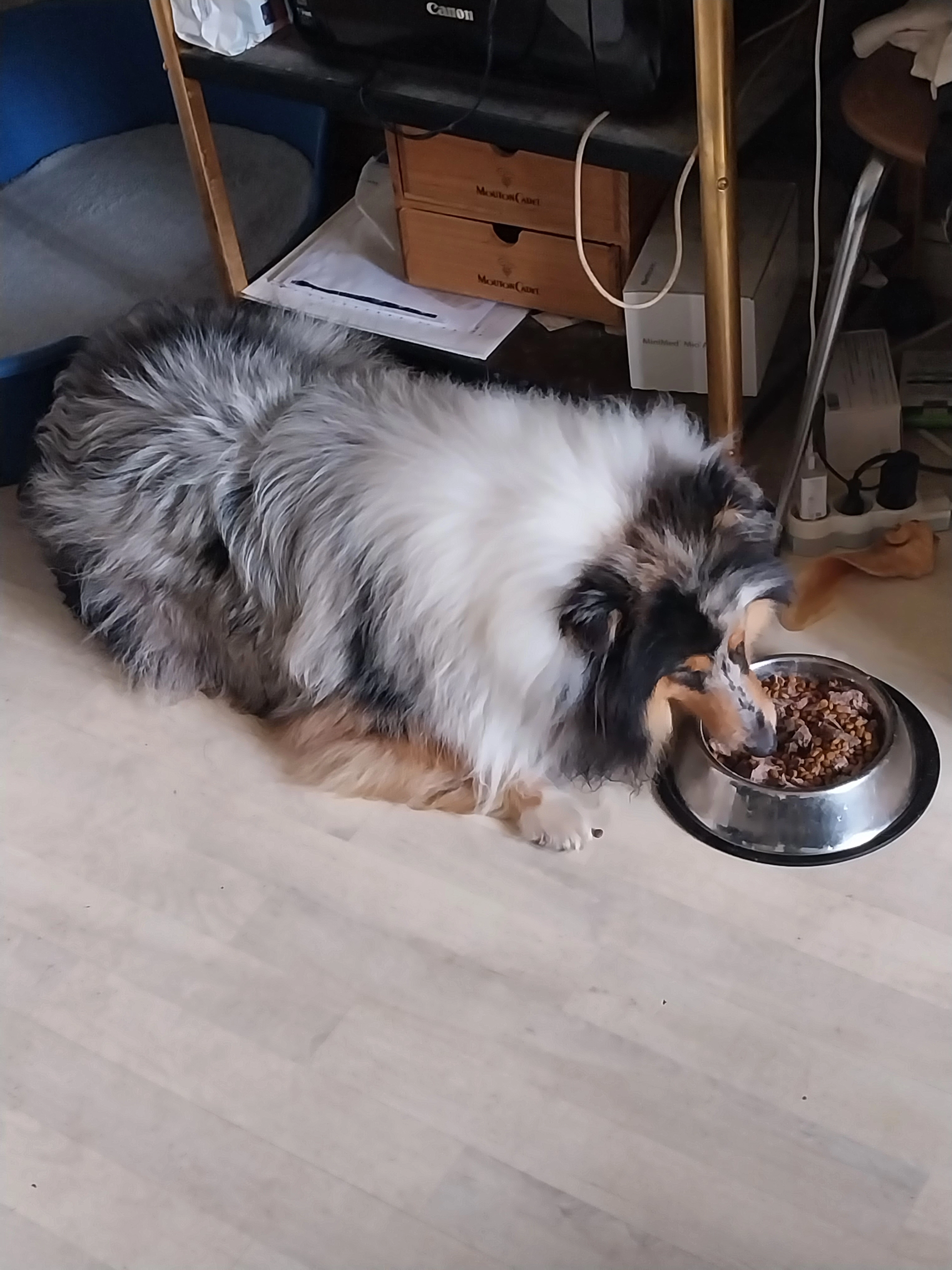 Romance - Chemin De Bruchère, Firminy