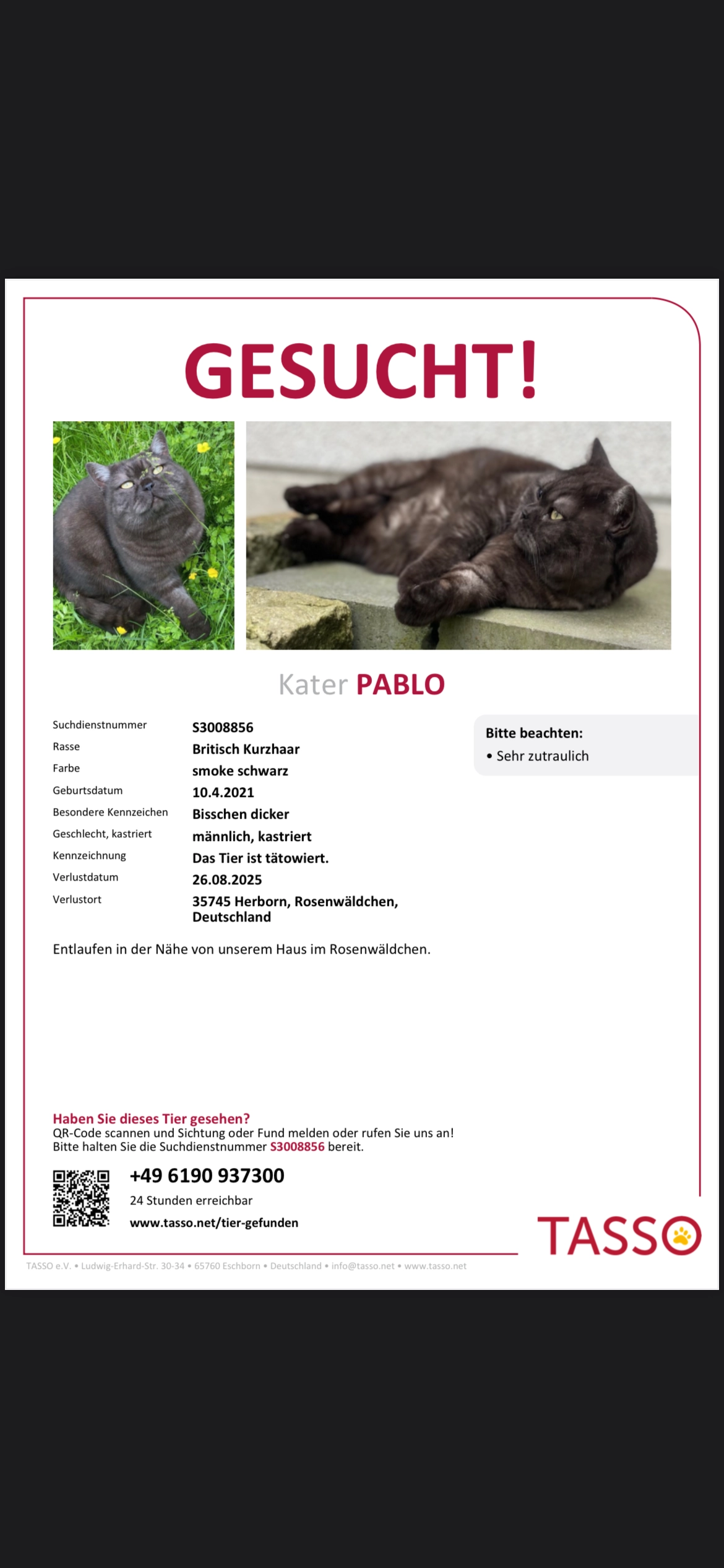 Pablo - Rosenwäldchen, Herborn