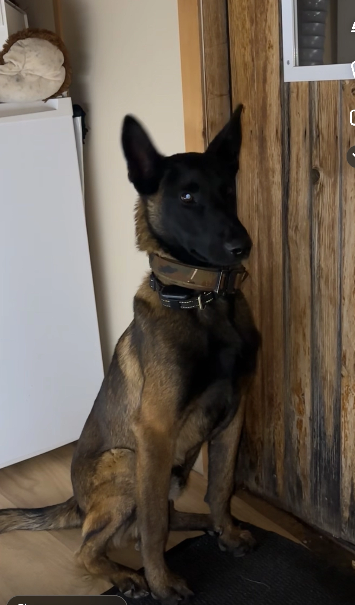 Hidalgo - Rue De La Cave, Saint-Hilaire-de-Riez