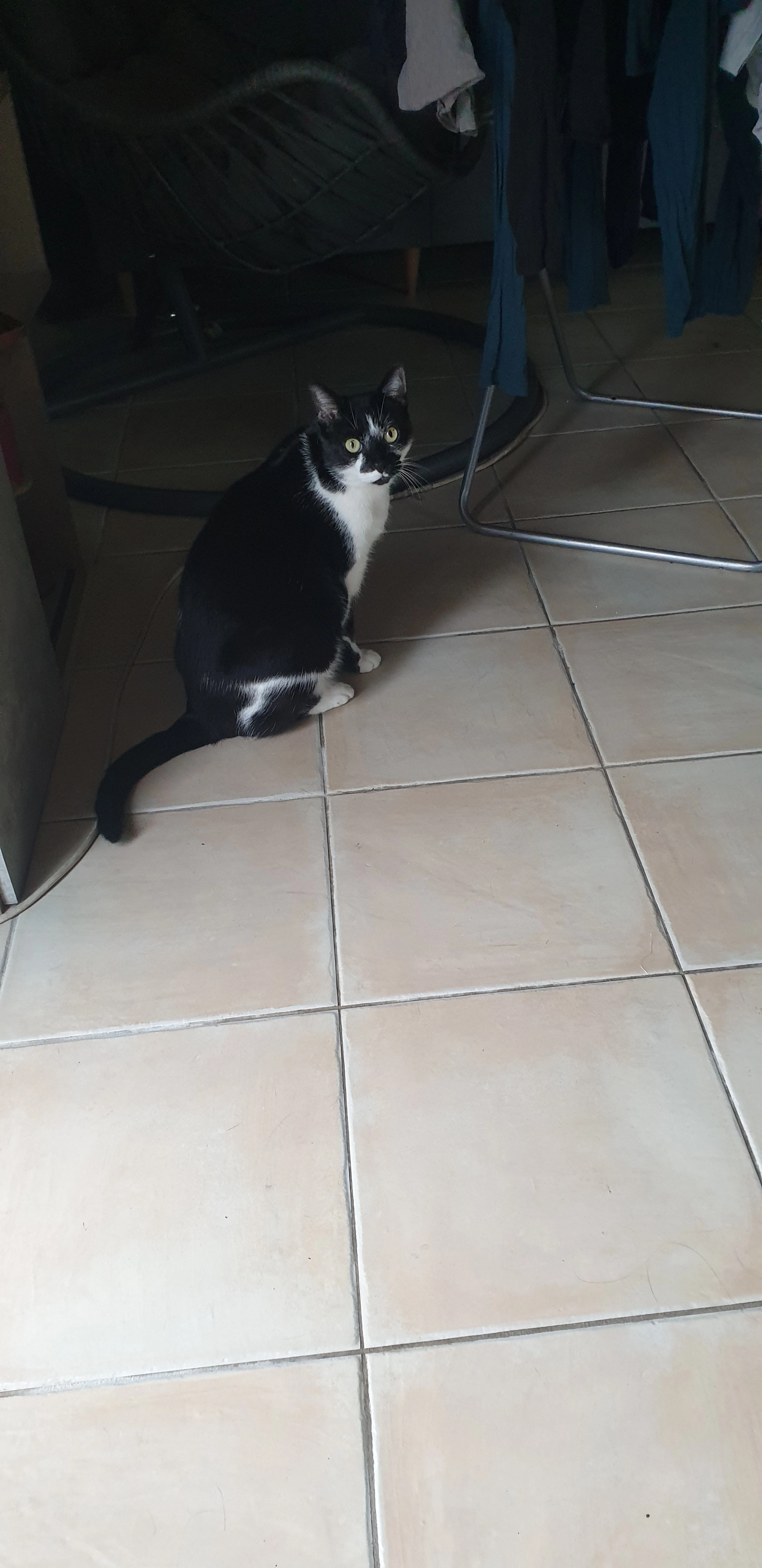 Meiko - Kerriou Kerhuilet, Rosporden