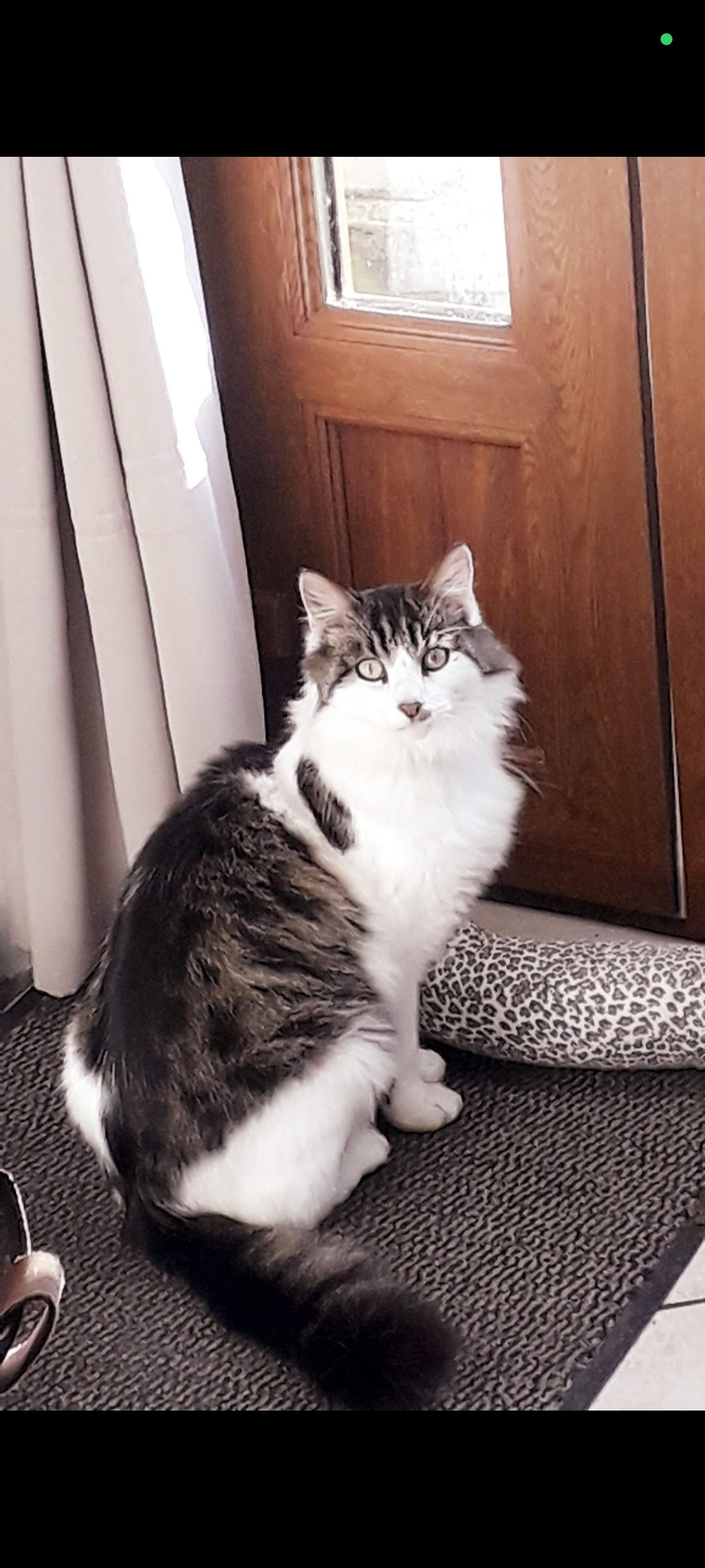 Wiki - Rue Du Clos Poislard, Beaumont