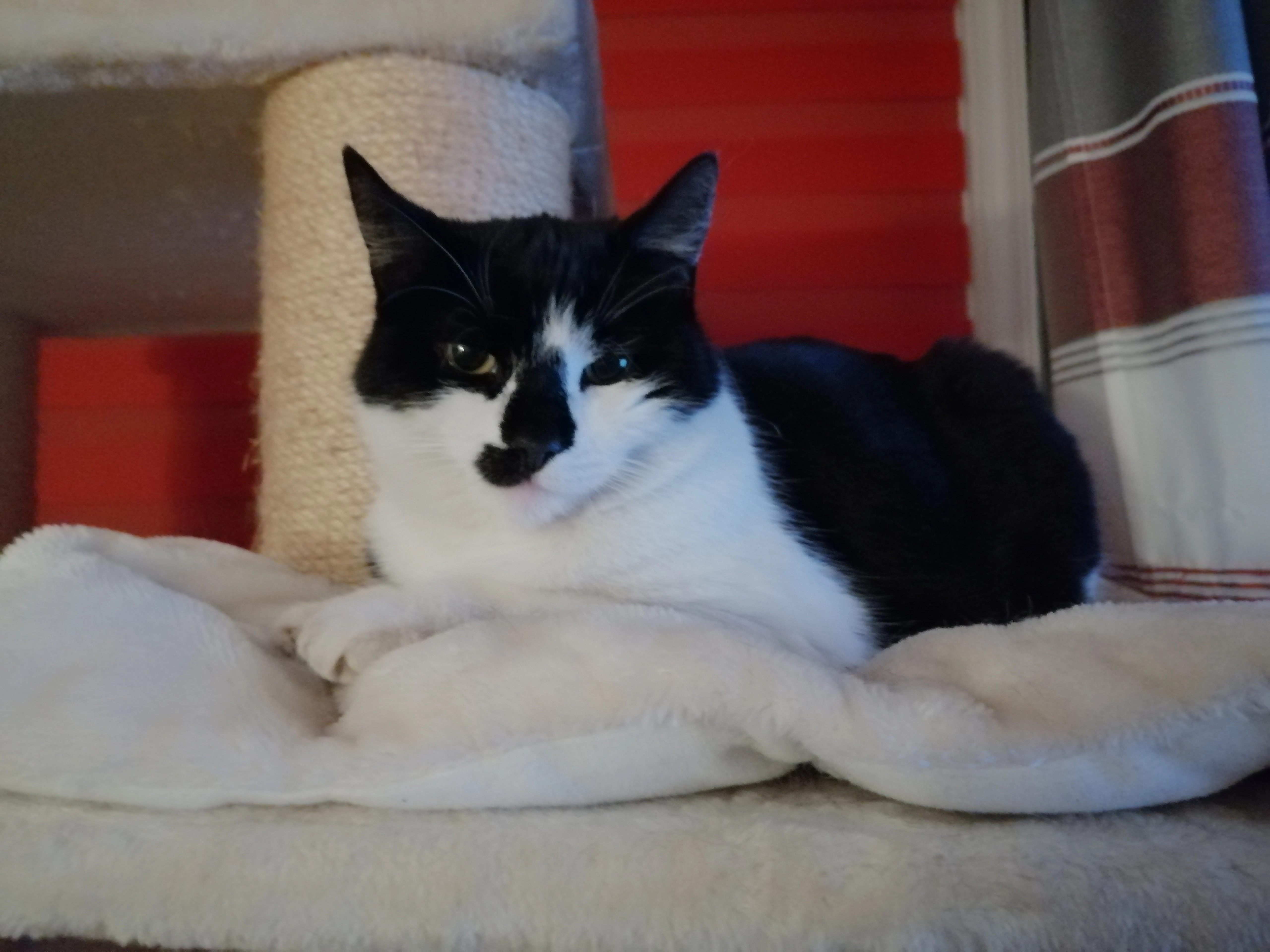 Purzel - Hahler Weg, Stade