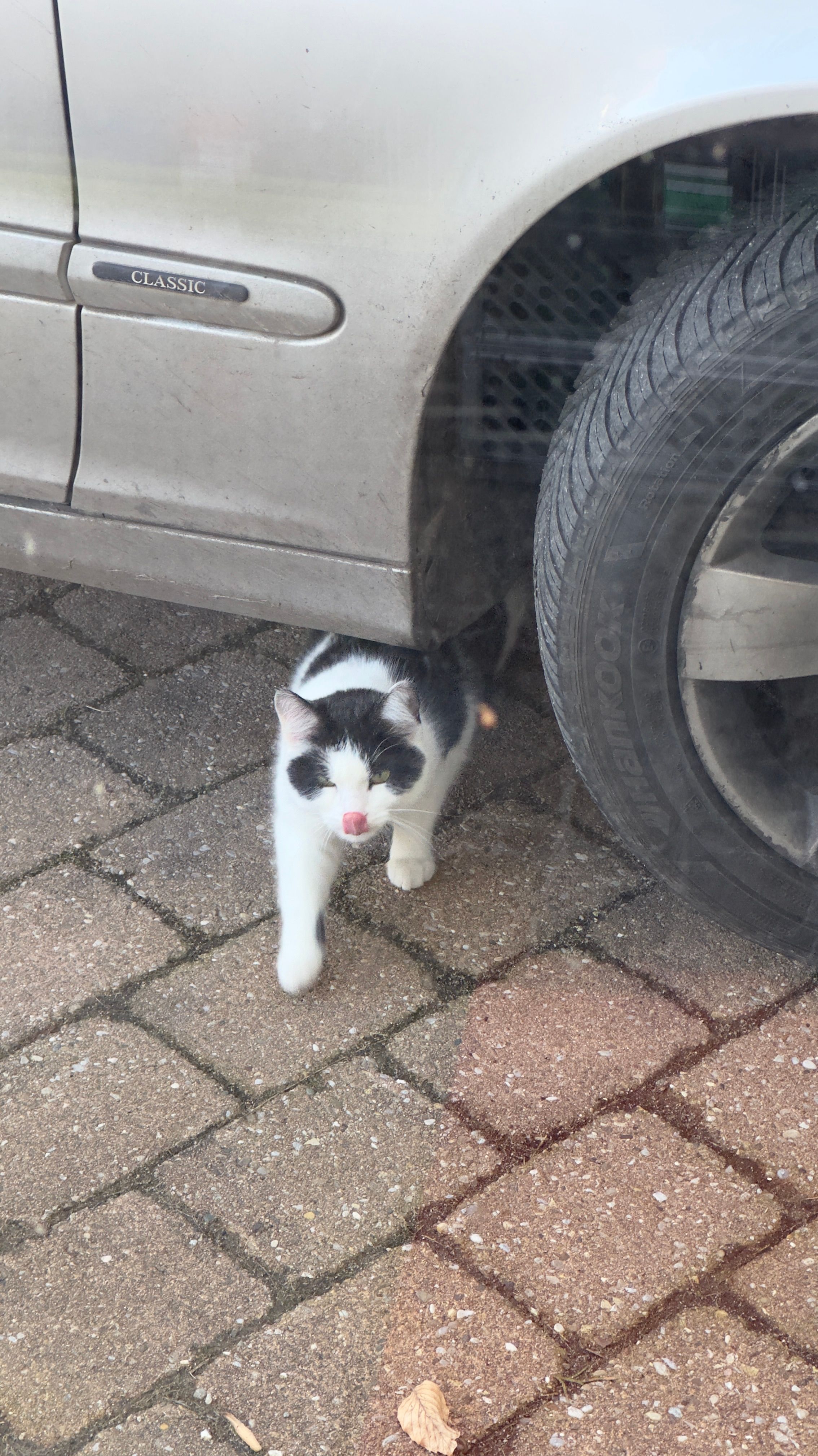 Meili - Lerchenstraße, Michelfeld