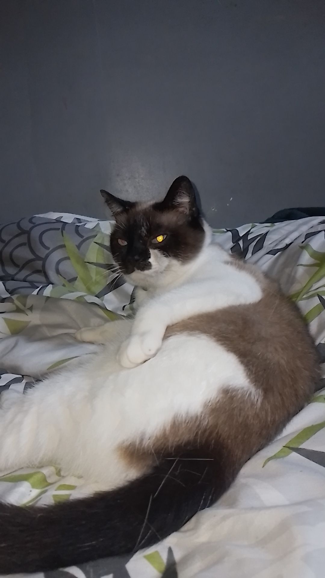 Gena - Route De La Vallée, Bec-de-Mortagne