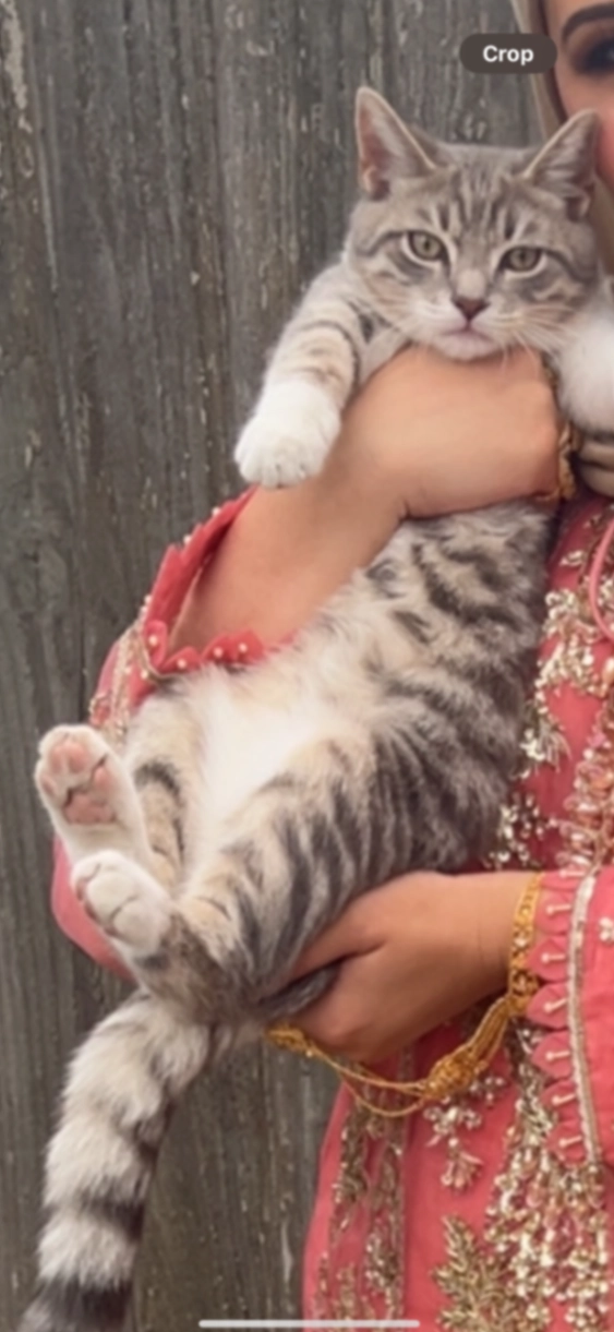 Blanco - Crompton Road, Birmingham